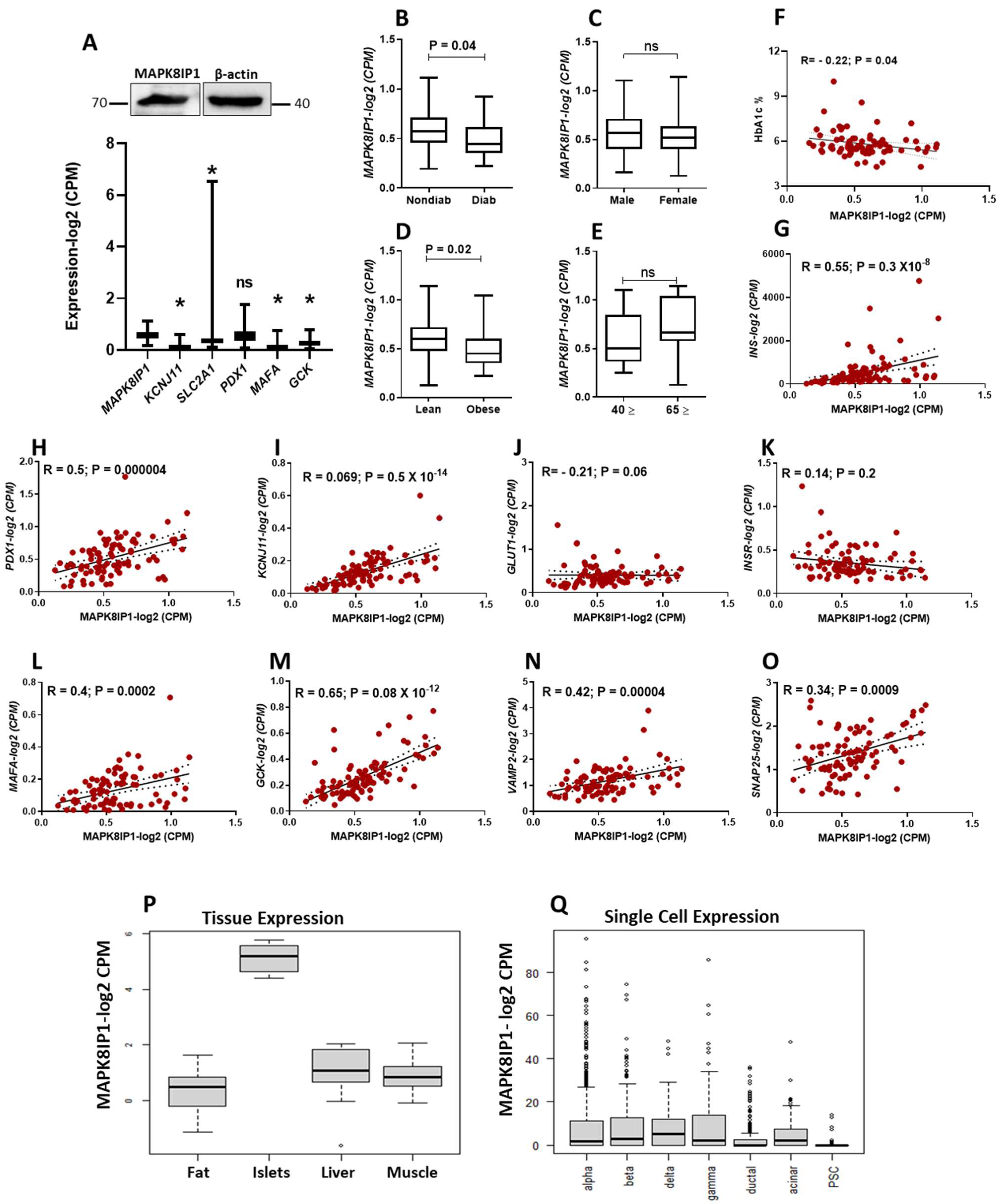 Metabolites 13 00307 g001