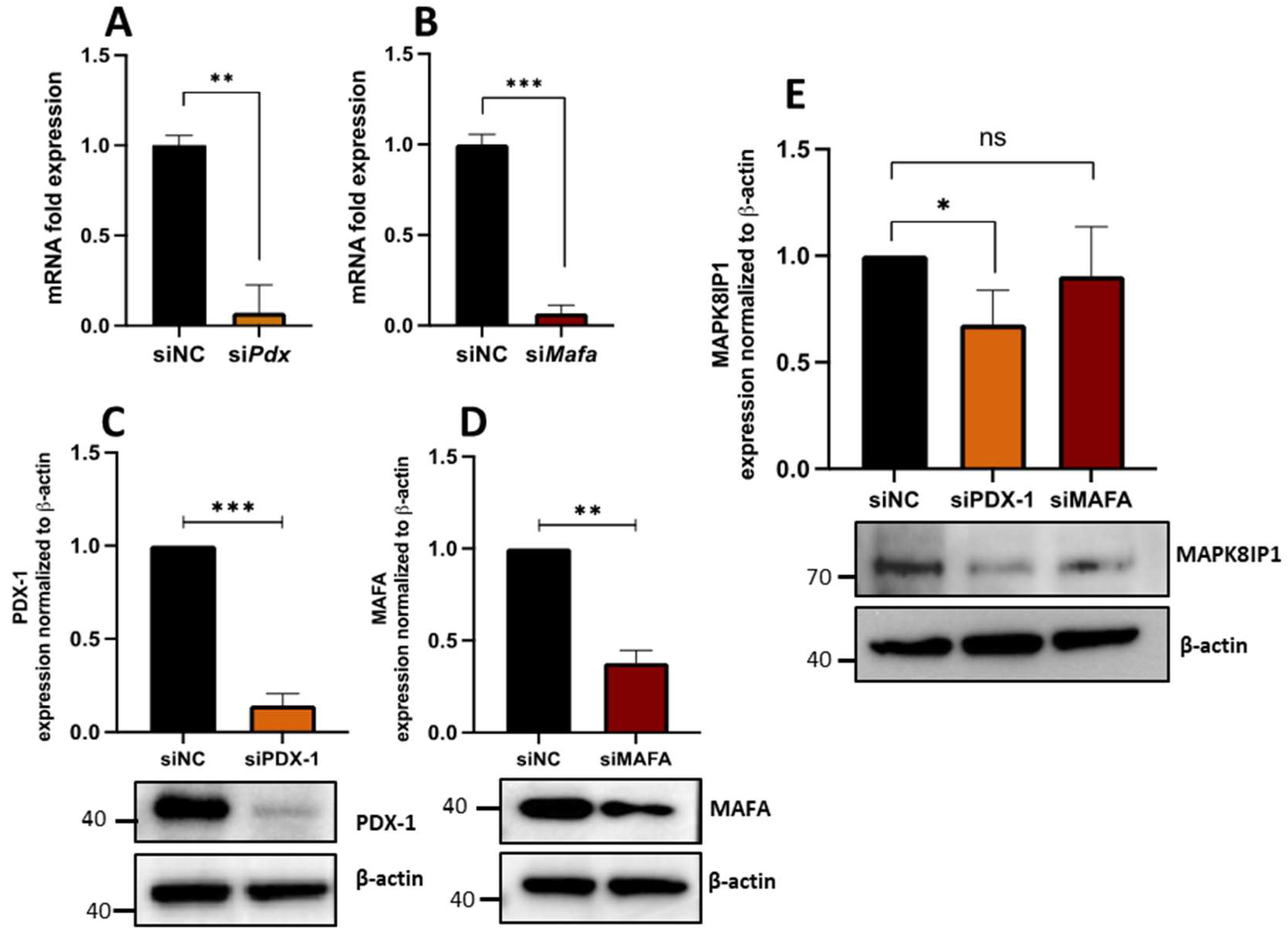 Metabolites 13 00307 g005