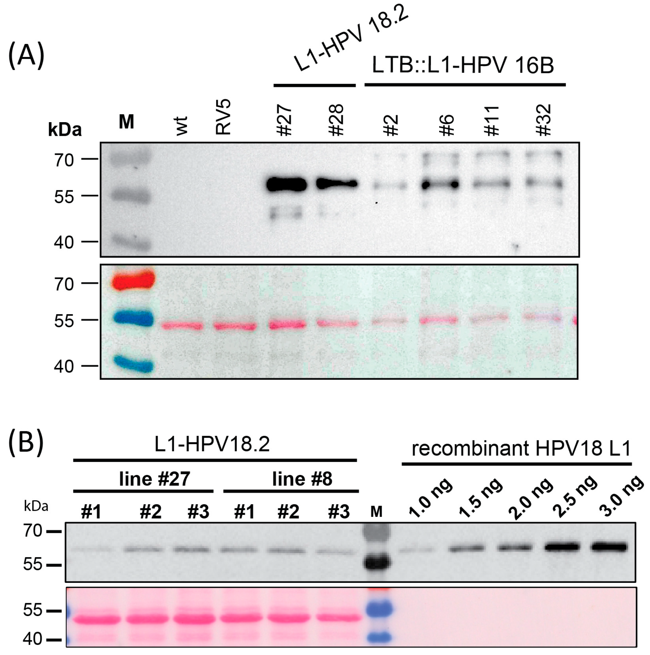 Metabolites 13 00315 g002