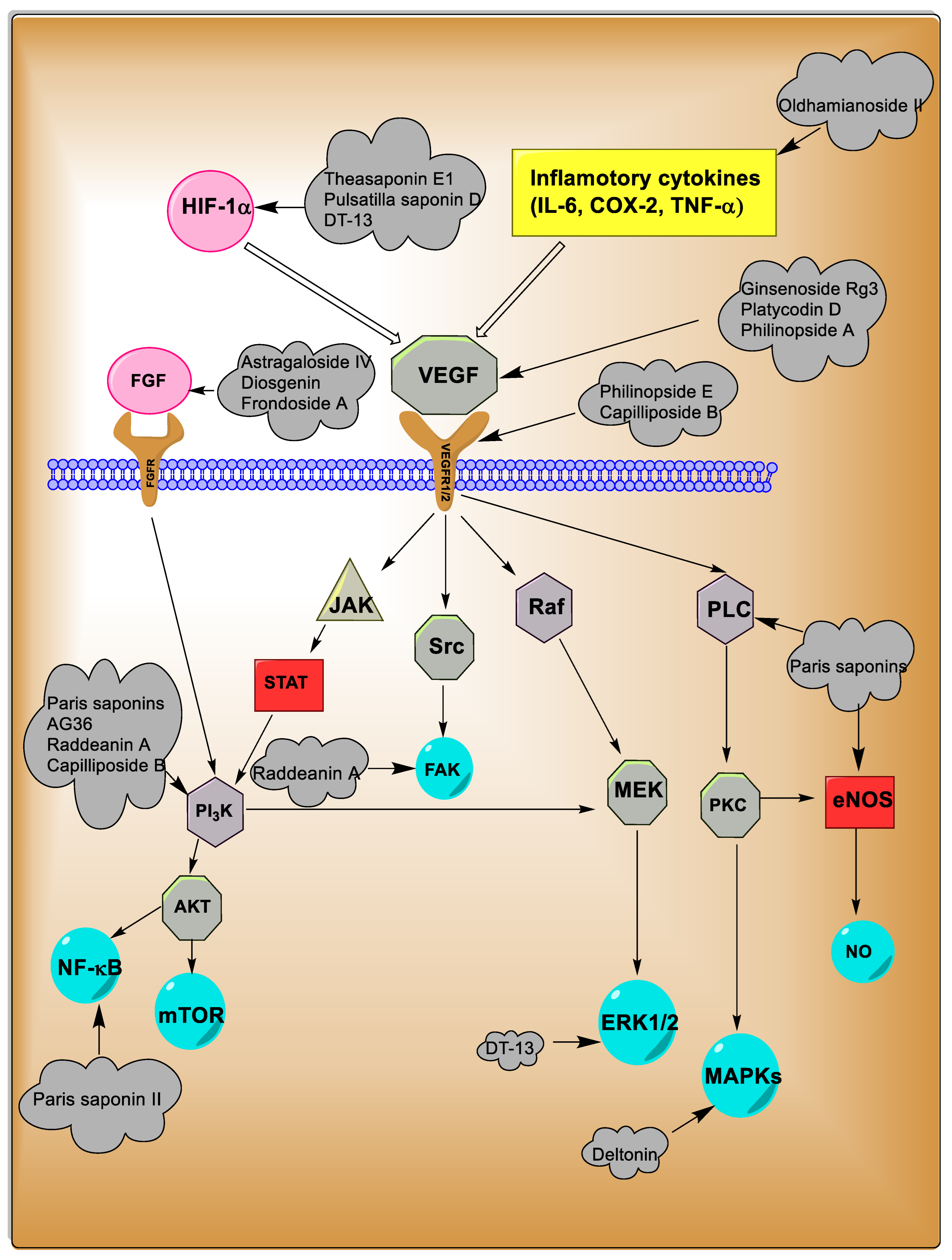 Metabolites 13 00323 g006