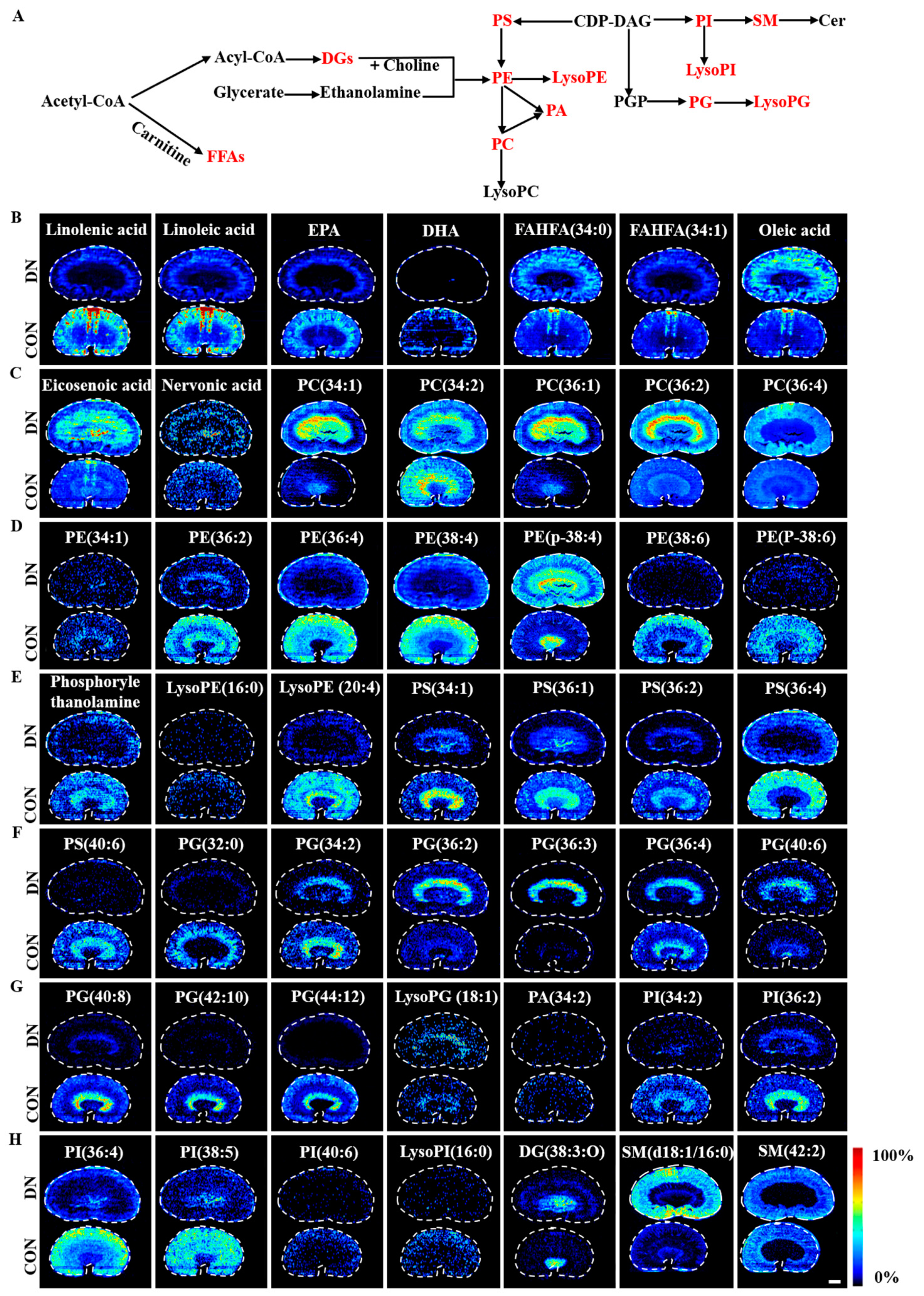 Metabolites 13 00324 g006 Metabolites 13 00324 g006