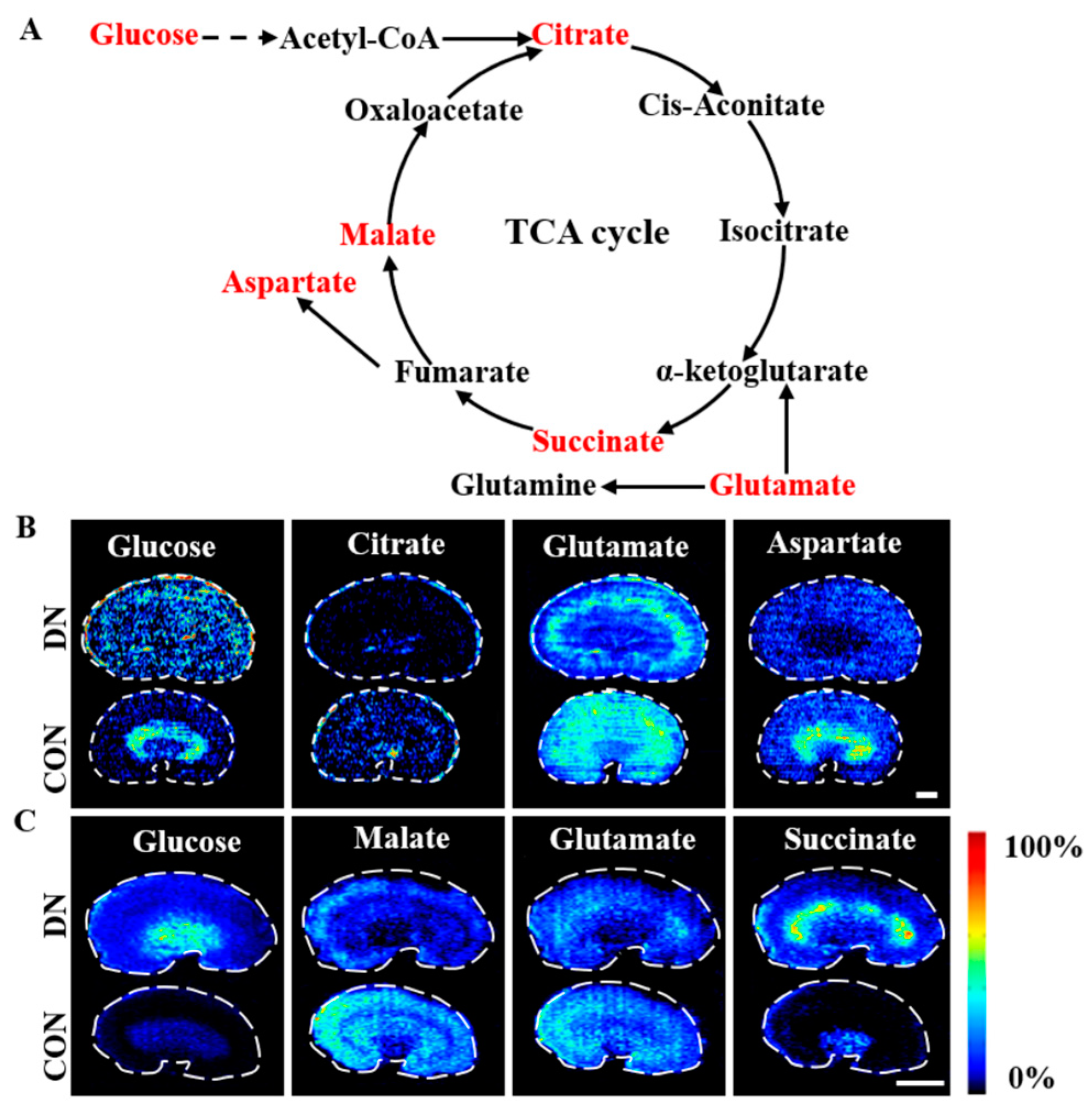 Metabolites 13 00324 g008 Metabolites 13 00324 g008