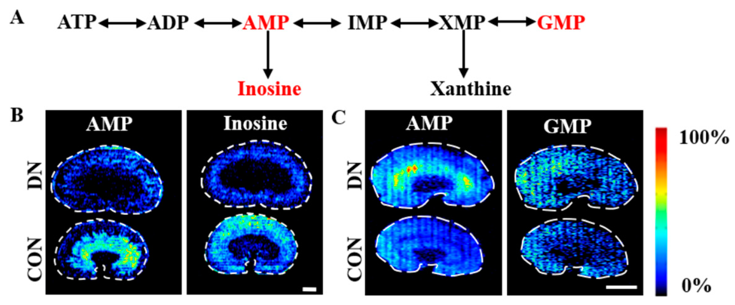 Metabolites 13 00324 g009 Metabolites 13 00324 g009