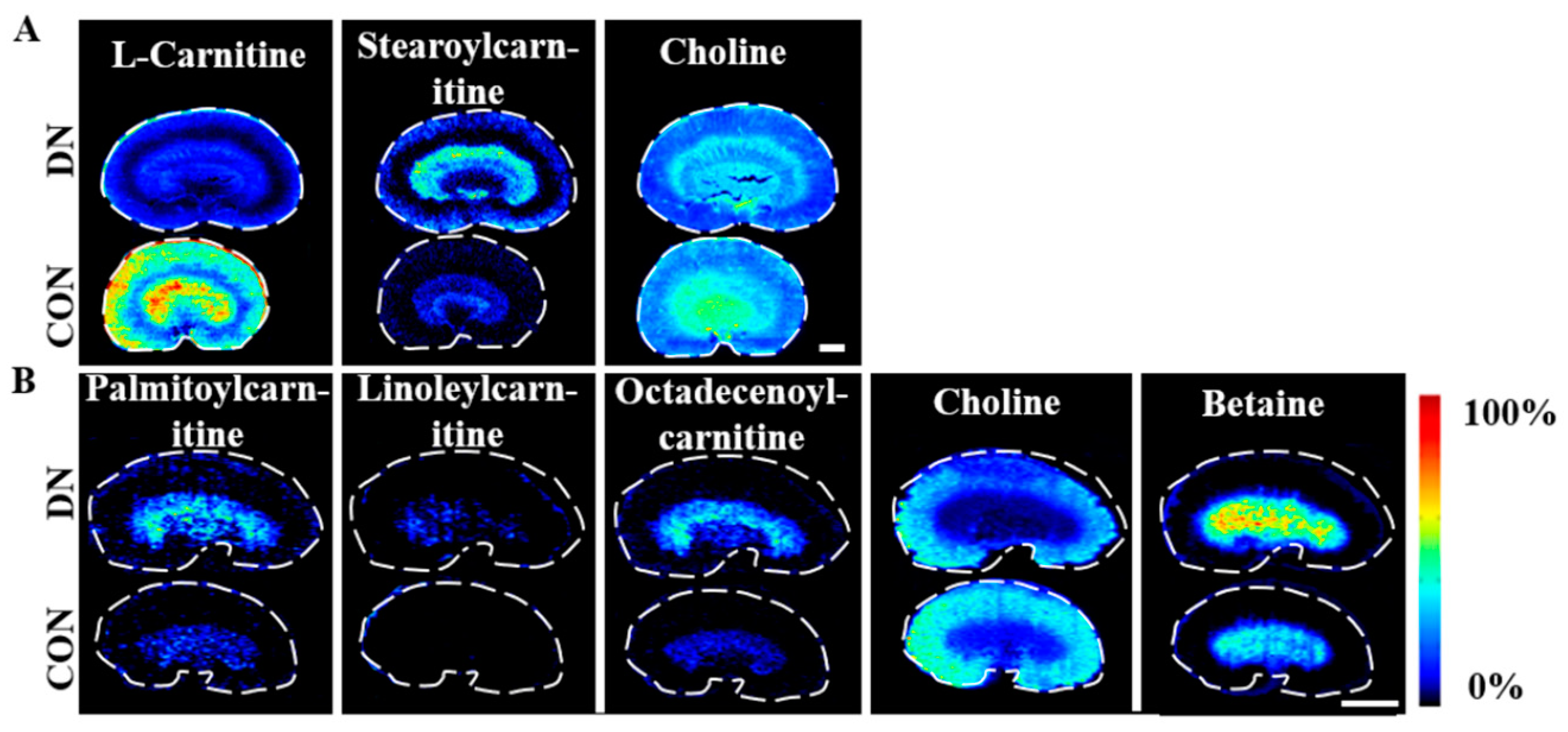 Metabolites 13 00324 g010 Metabolites 13 00324 g010
