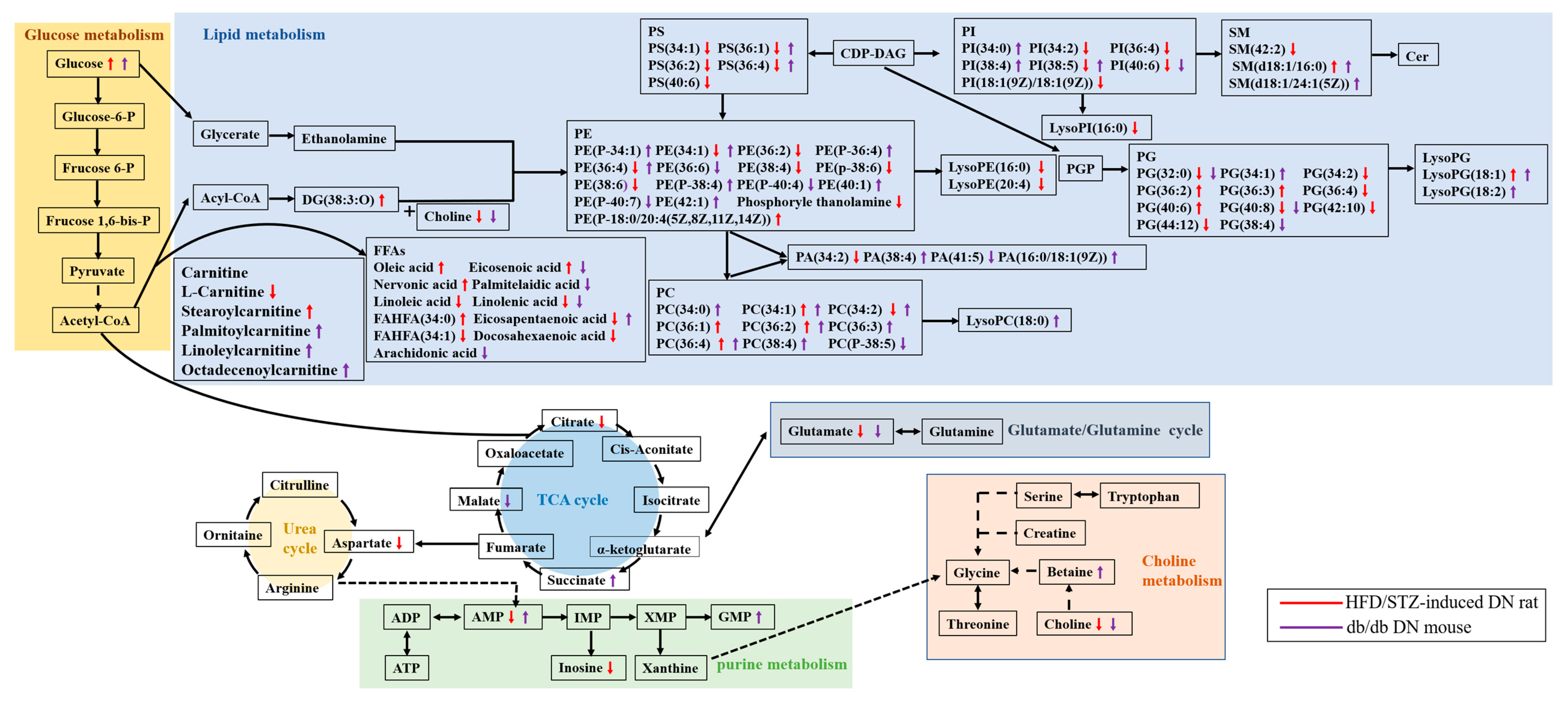 Metabolites 13 00324 g011 Metabolites 13 00324 g011