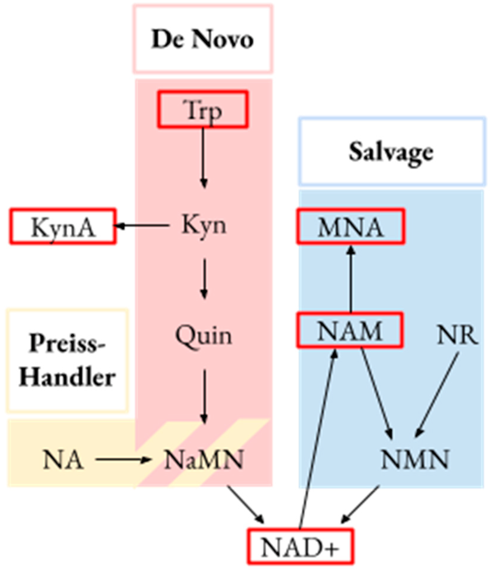 Metabolites 13 00325 g001 Metabolites 13 00325 g001