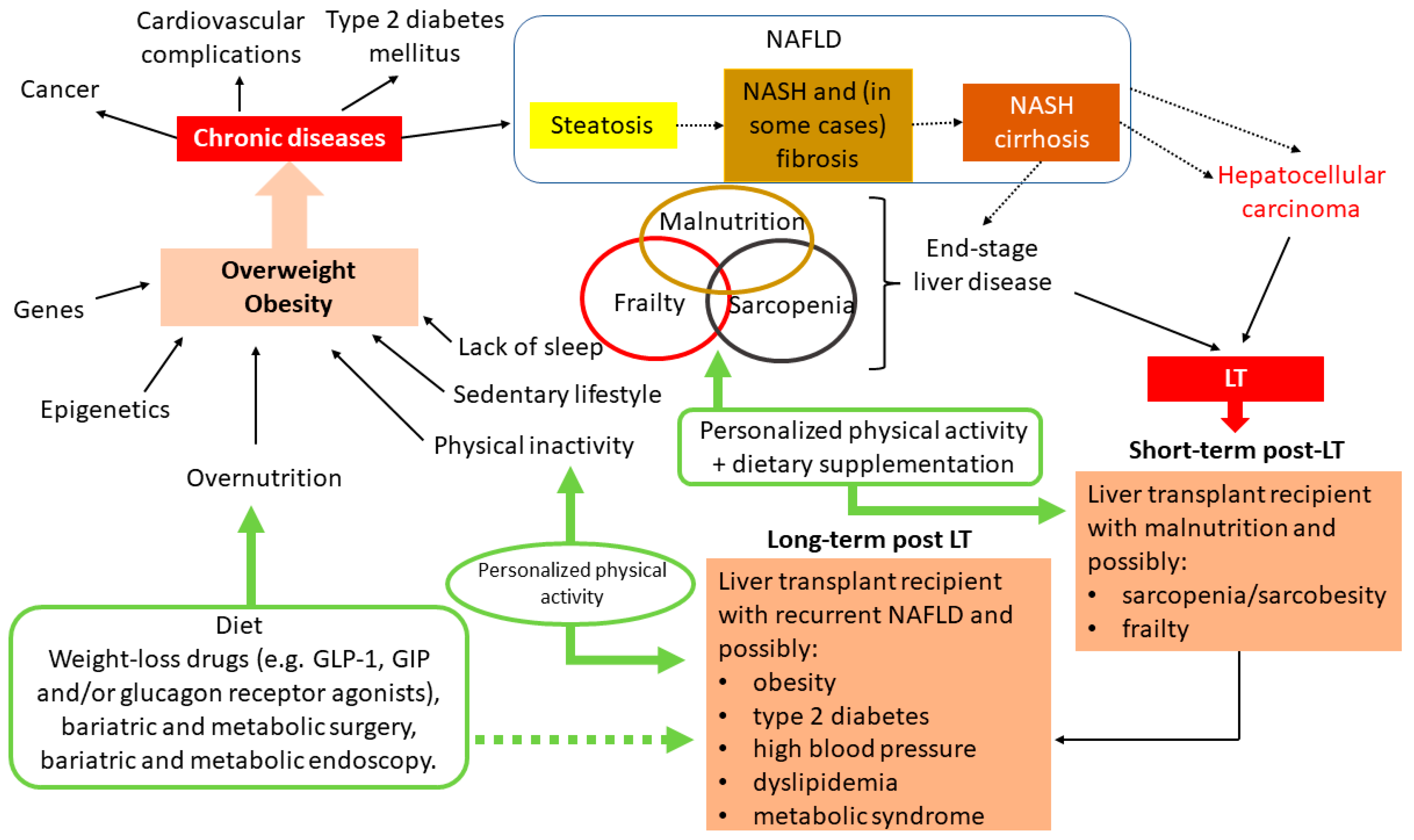 Metabolites 13 00330 g001