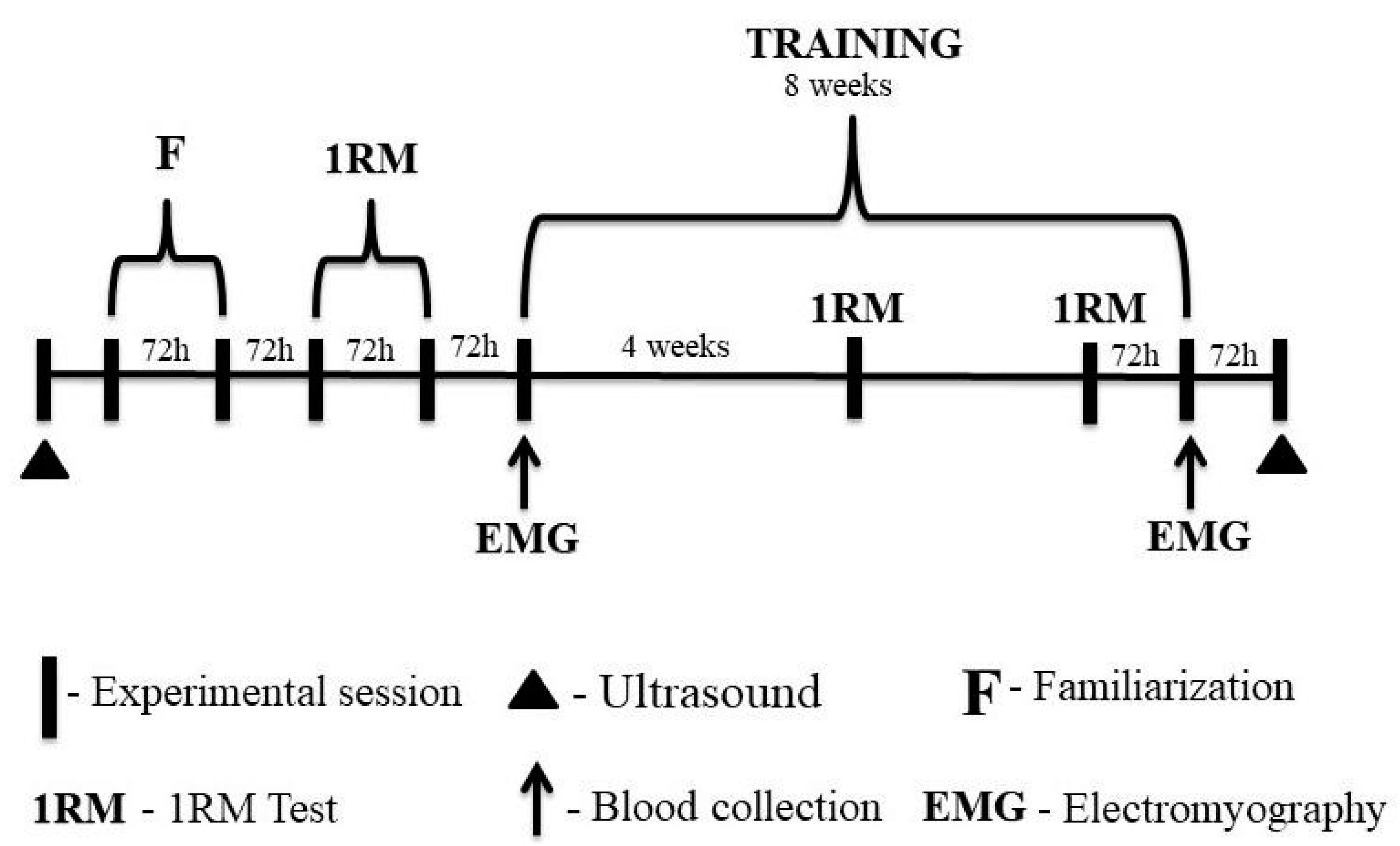 Metabolites 13 00335 g002