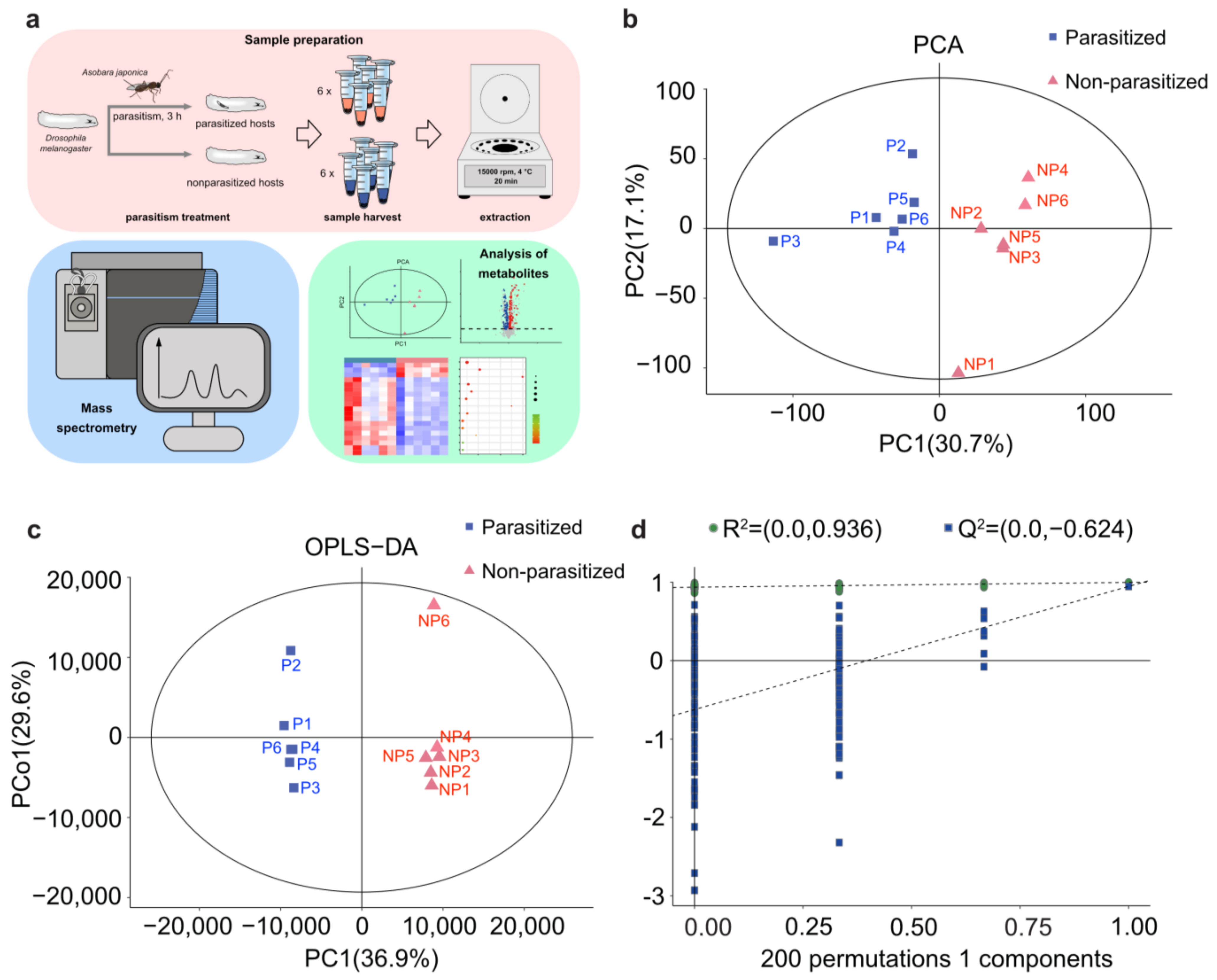 Metabolites 13 00336 g001 Metabolites 13 00336 g001
