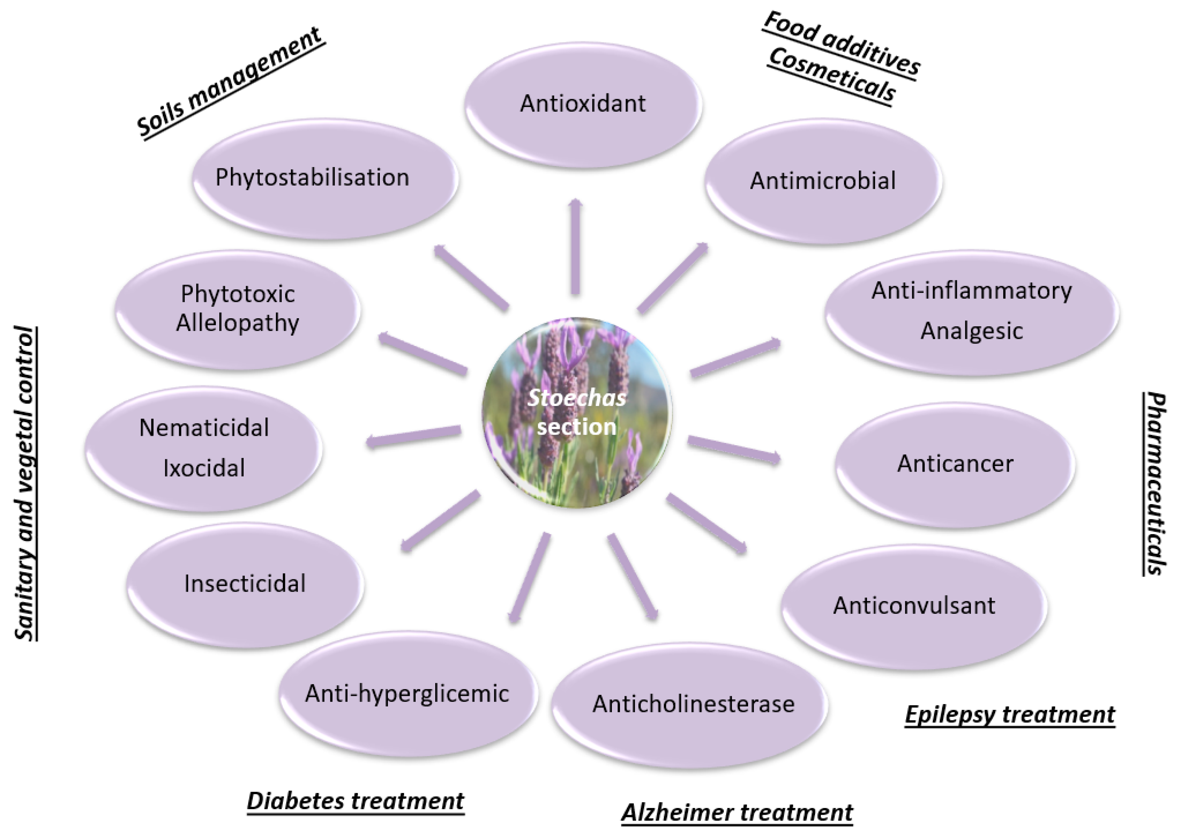 Metabolites 13 00337 g004 Metabolites 13 00337 g004