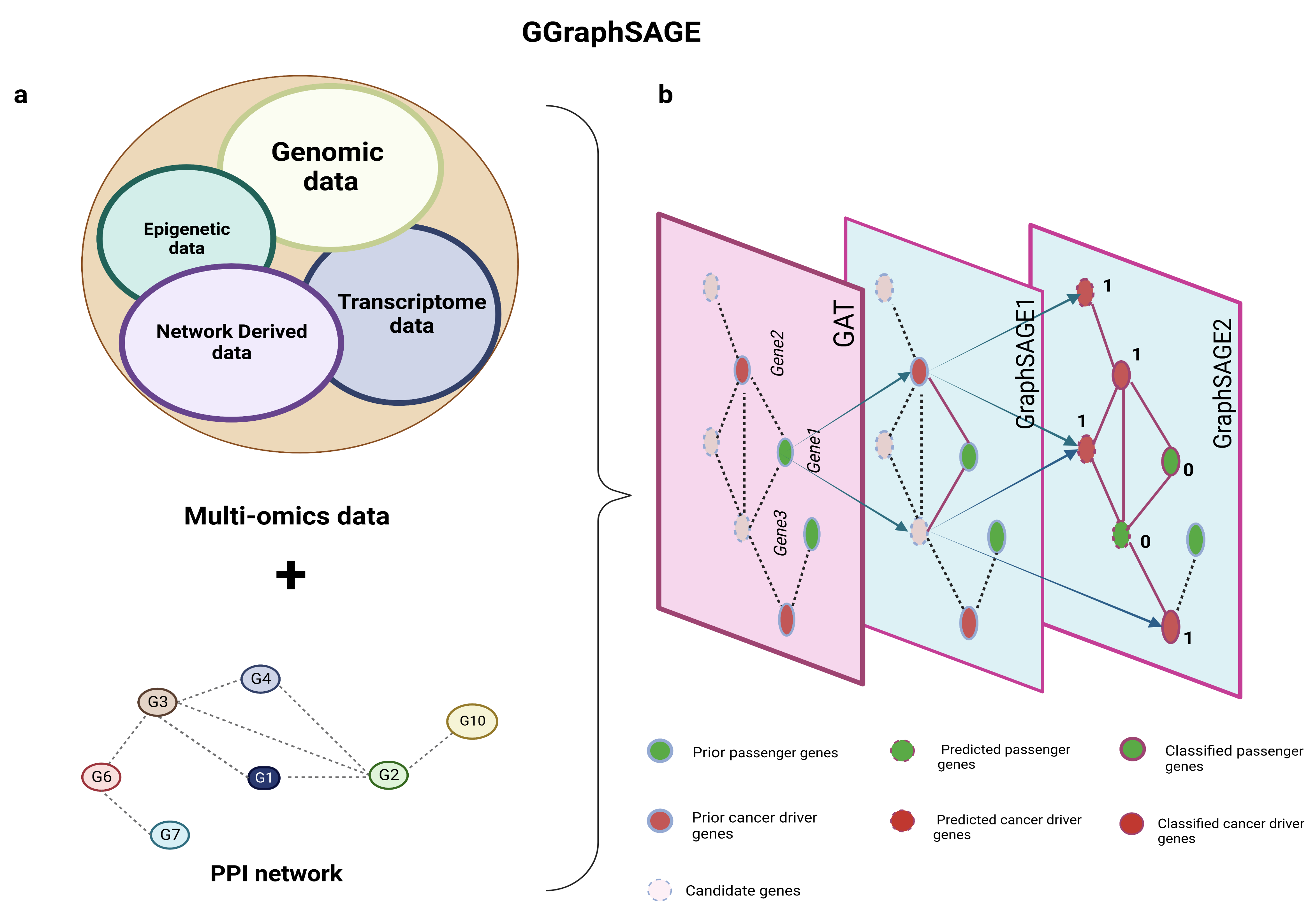 Metabolites 13 00339 g001 Metabolites 13 00339 g001