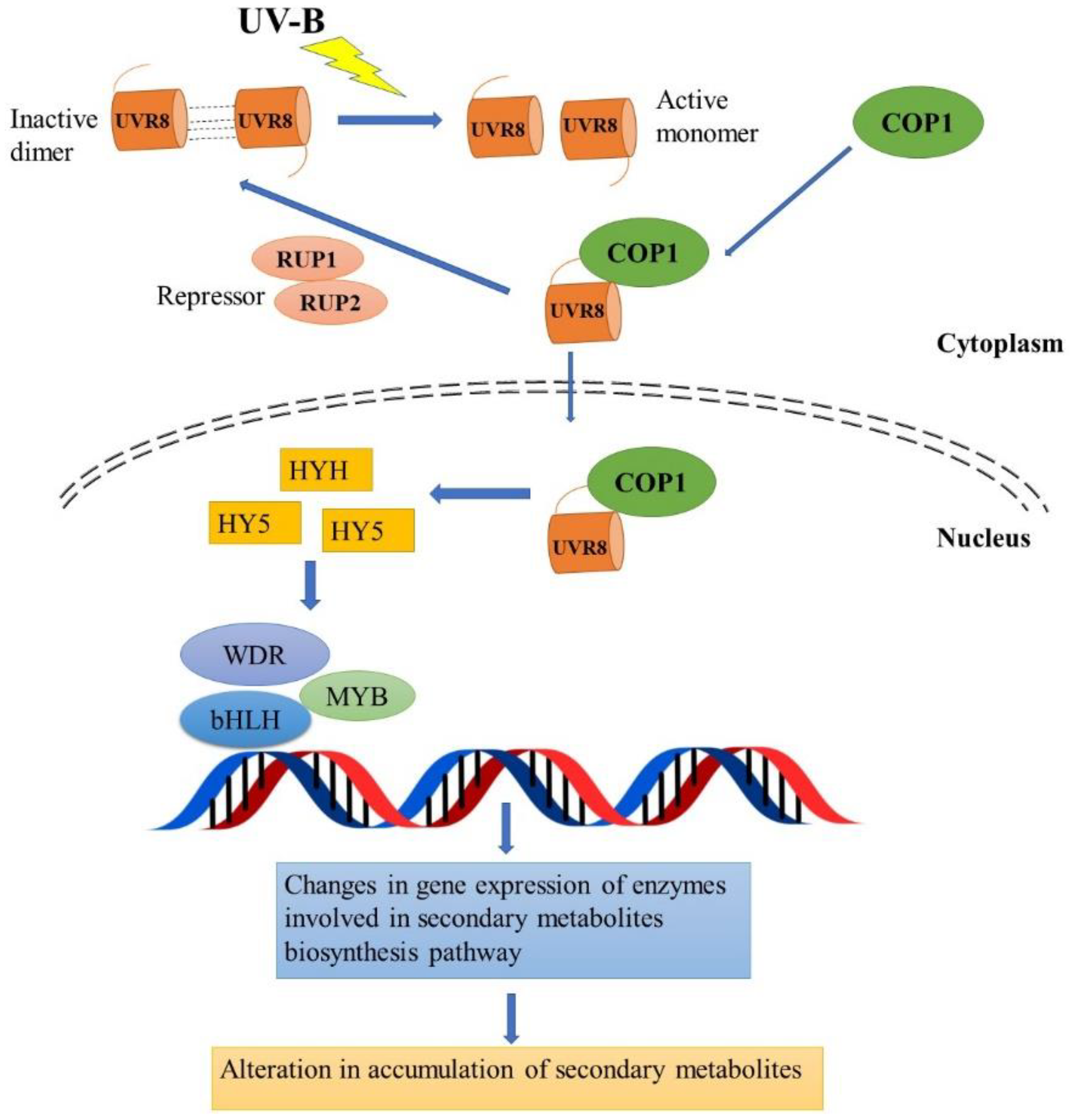 Metabolites 13 00341 g002 Metabolites 13 00341 g002