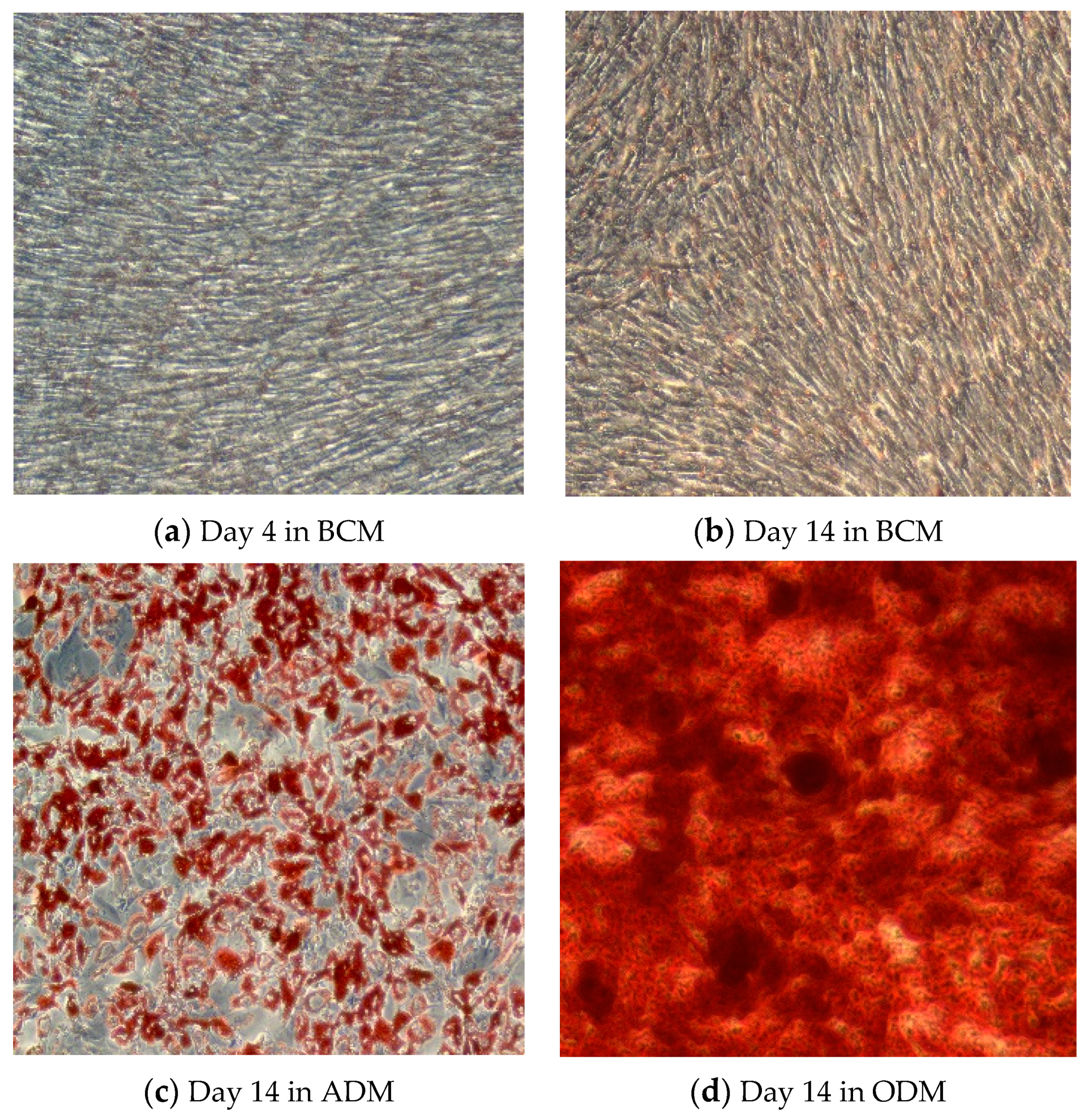 Metabolites 13 00352 g001