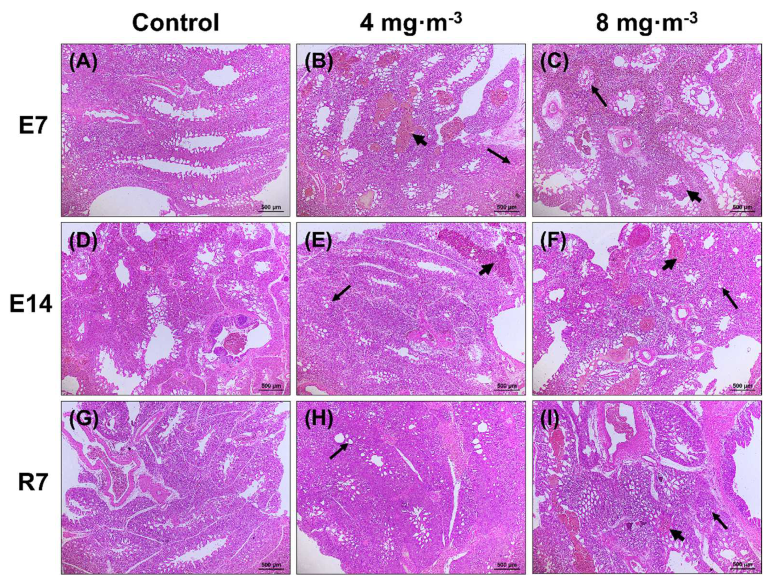 Metabolites 13 00363 g001