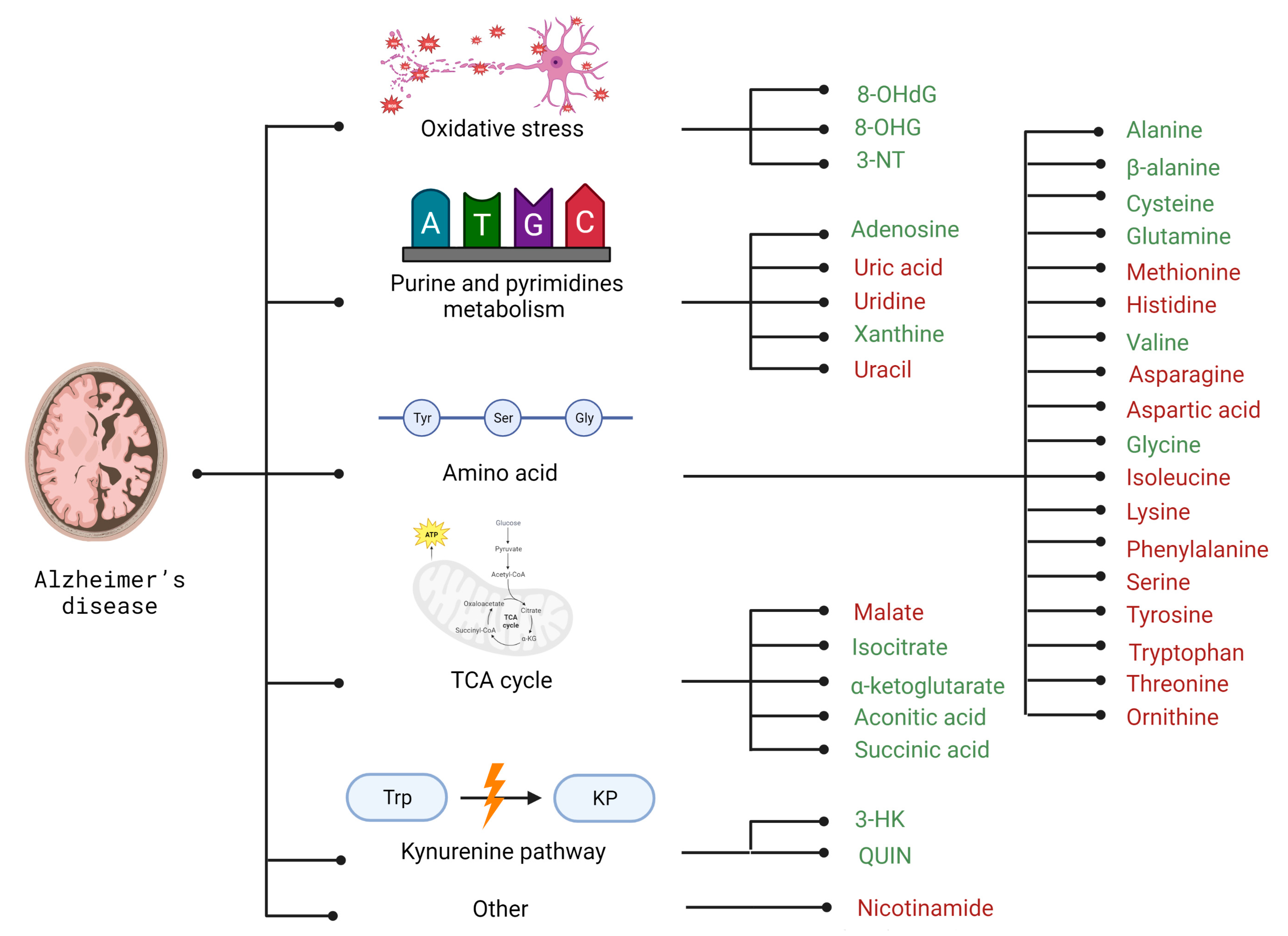 Metabolites 13 00369 g002 Metabolites 13 00369 g002