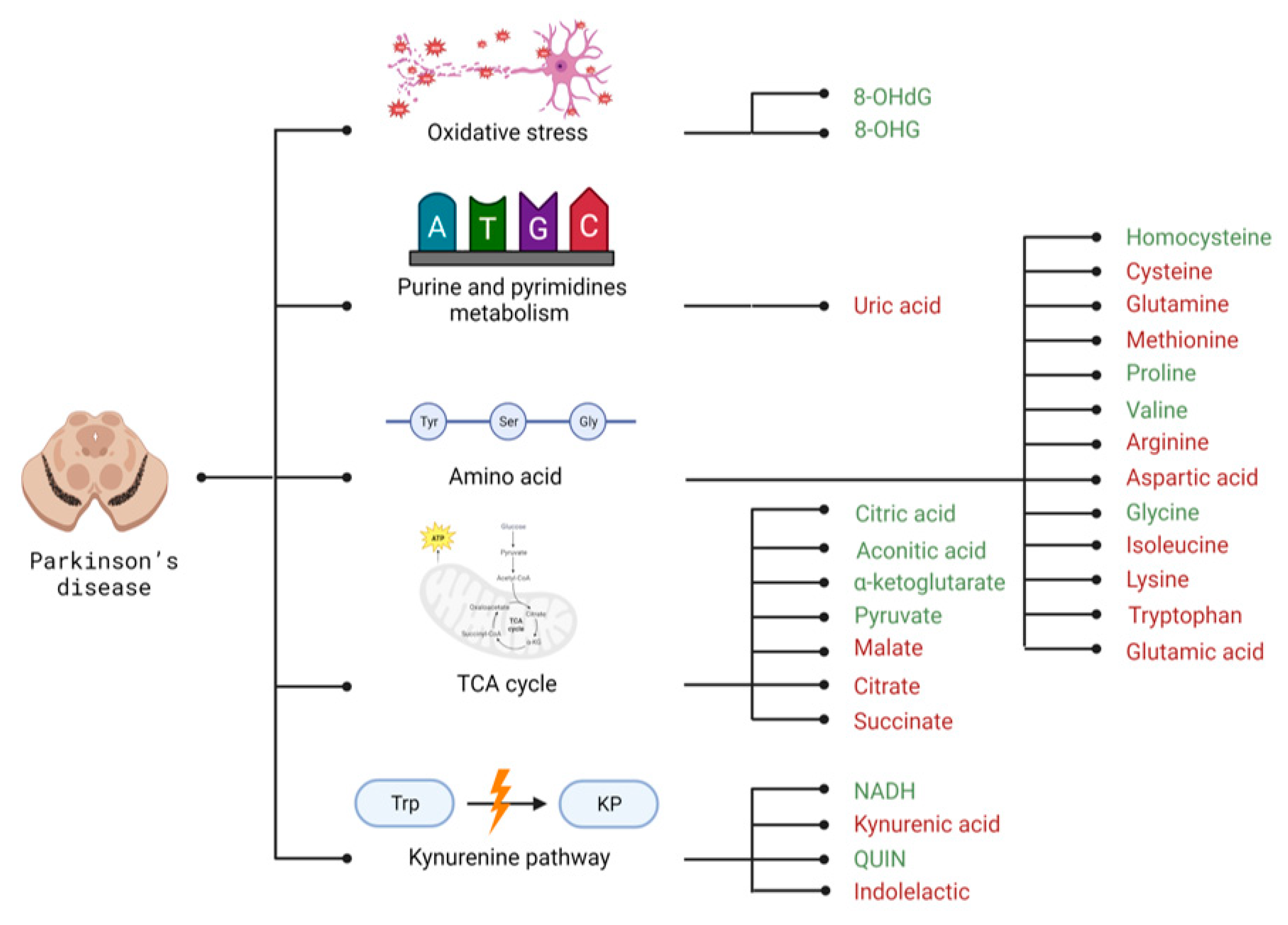 Metabolites 13 00369 g003 Metabolites 13 00369 g003