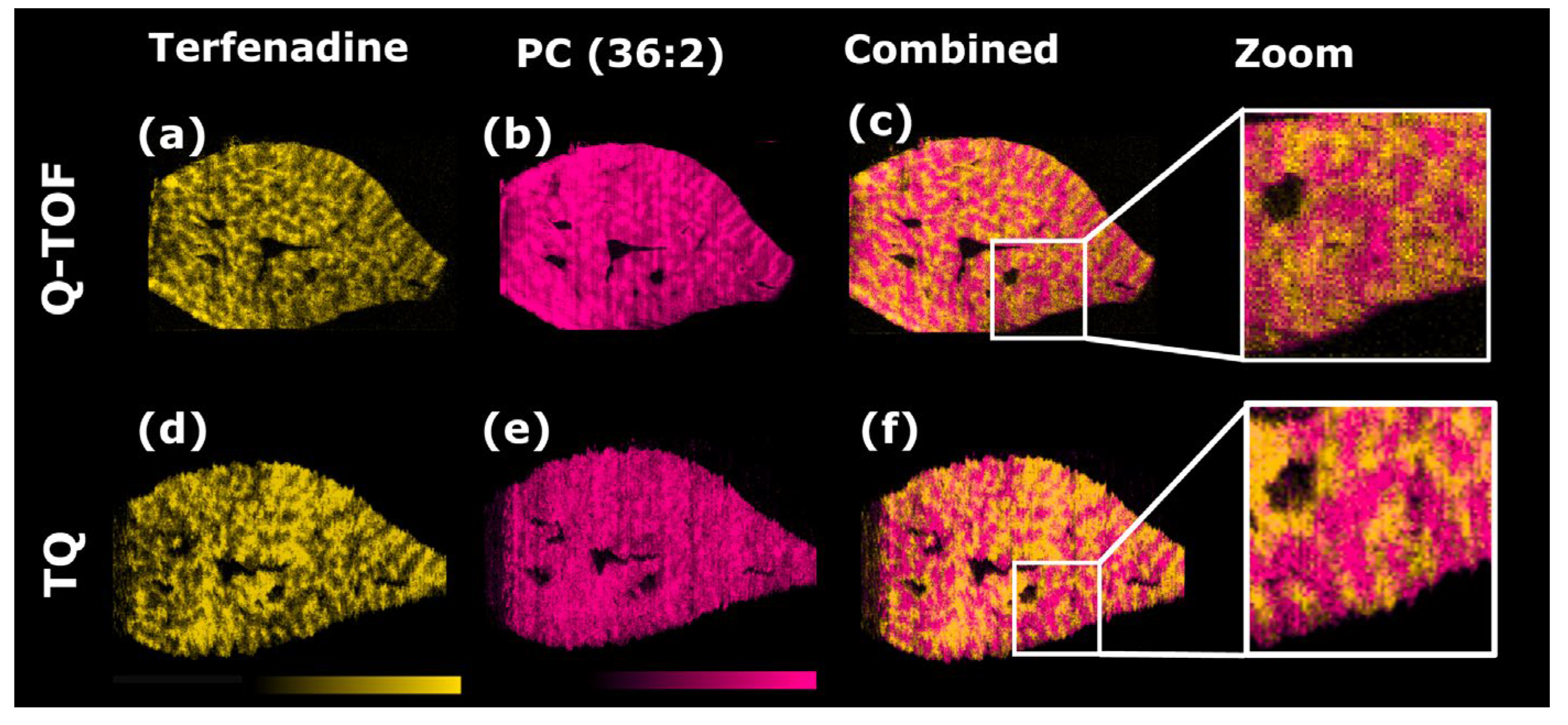 Metabolites 13 00377 g002
