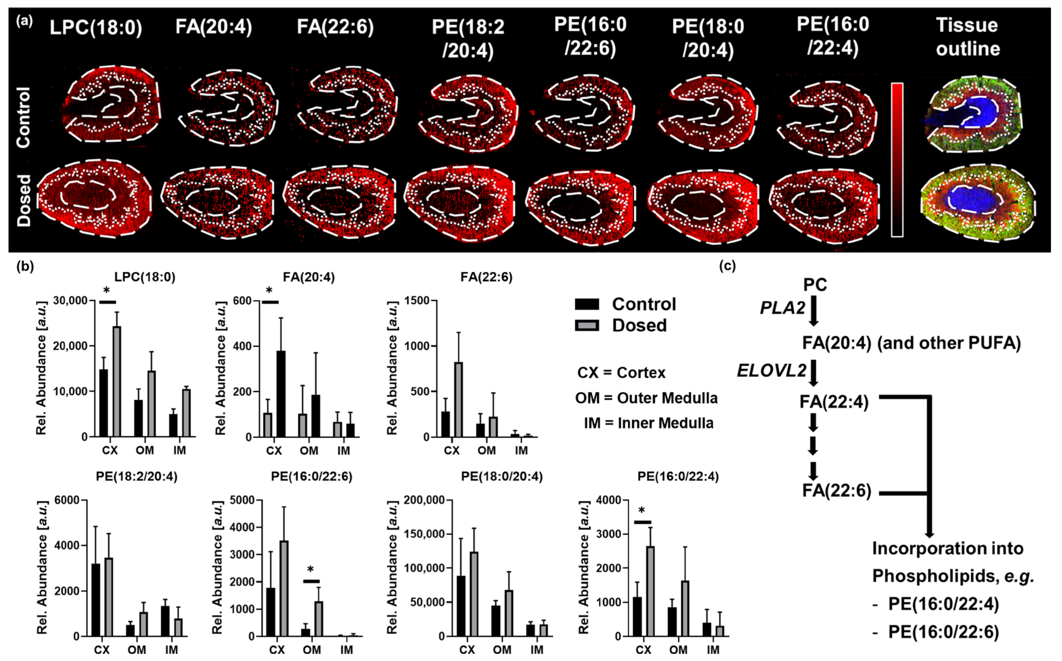 Metabolites 13 00377 g004