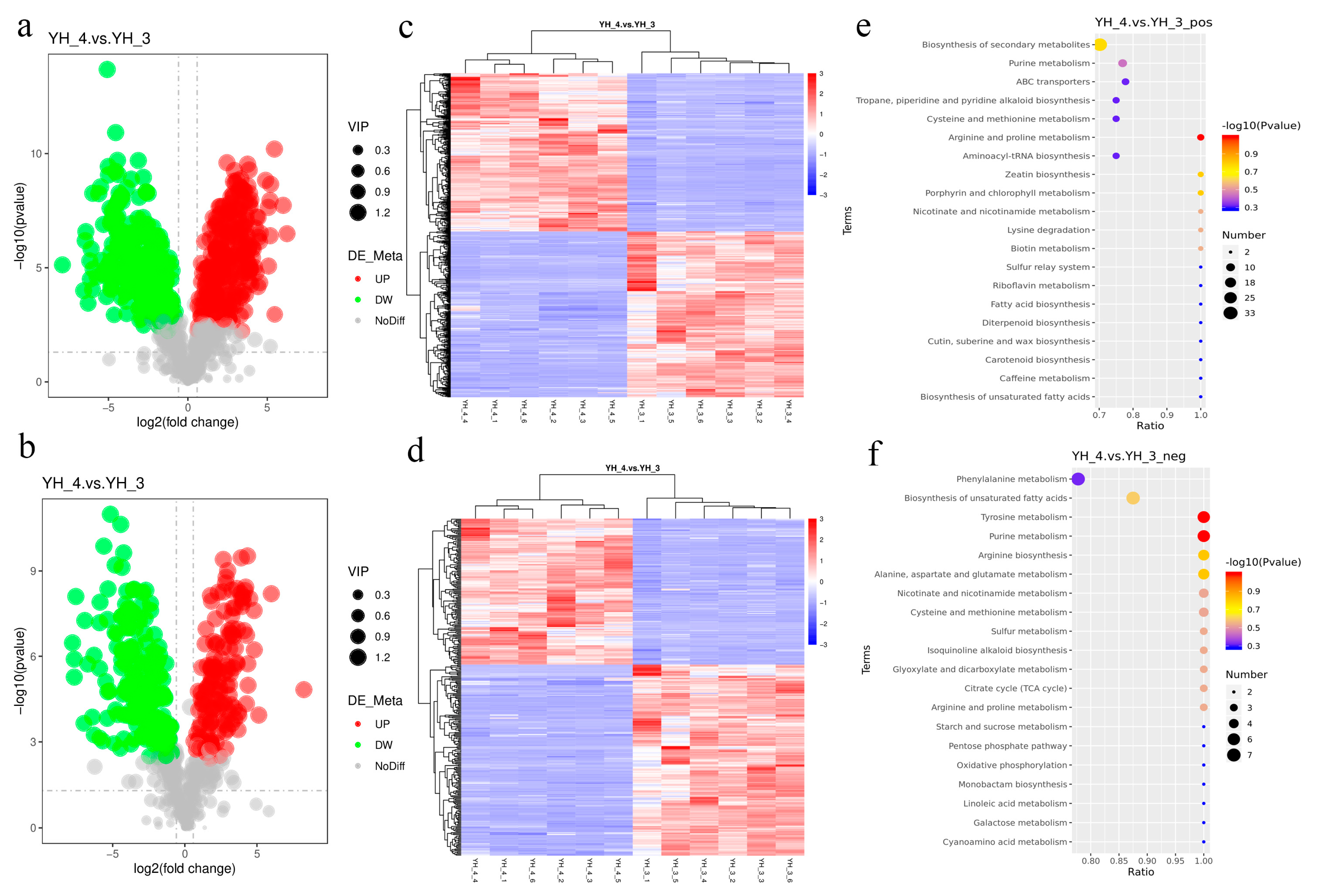 Metabolites 13 00388 g005 Metabolites 13 00388 g005