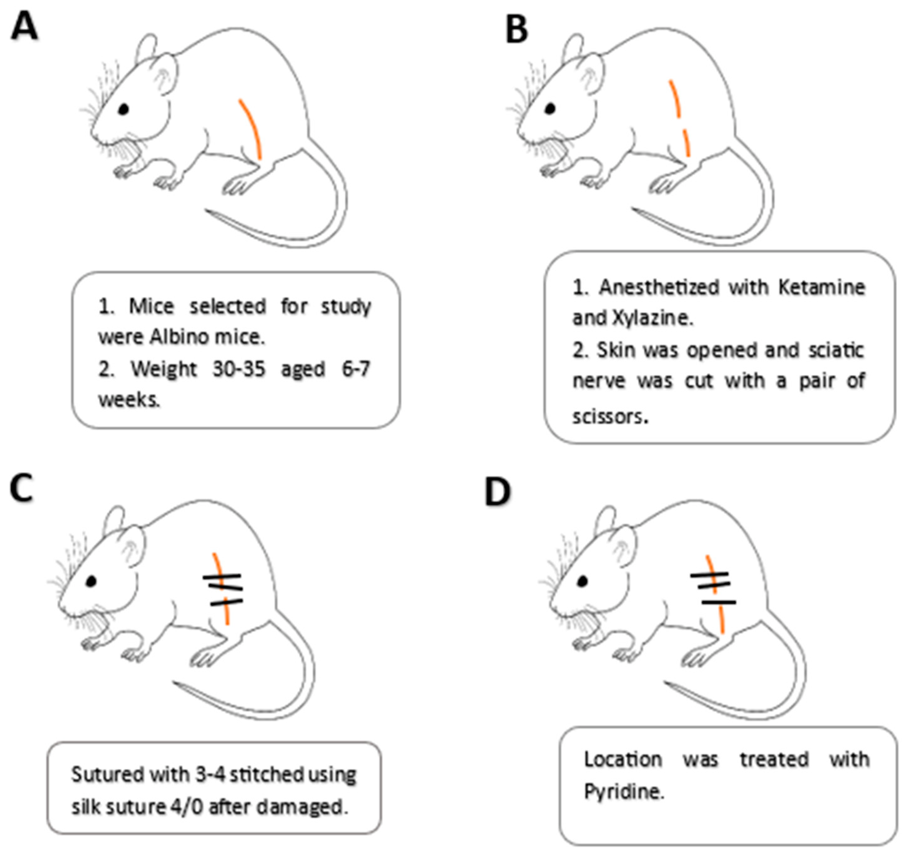 Metabolites 13 00391 g001 Metabolites 13 00391 g001