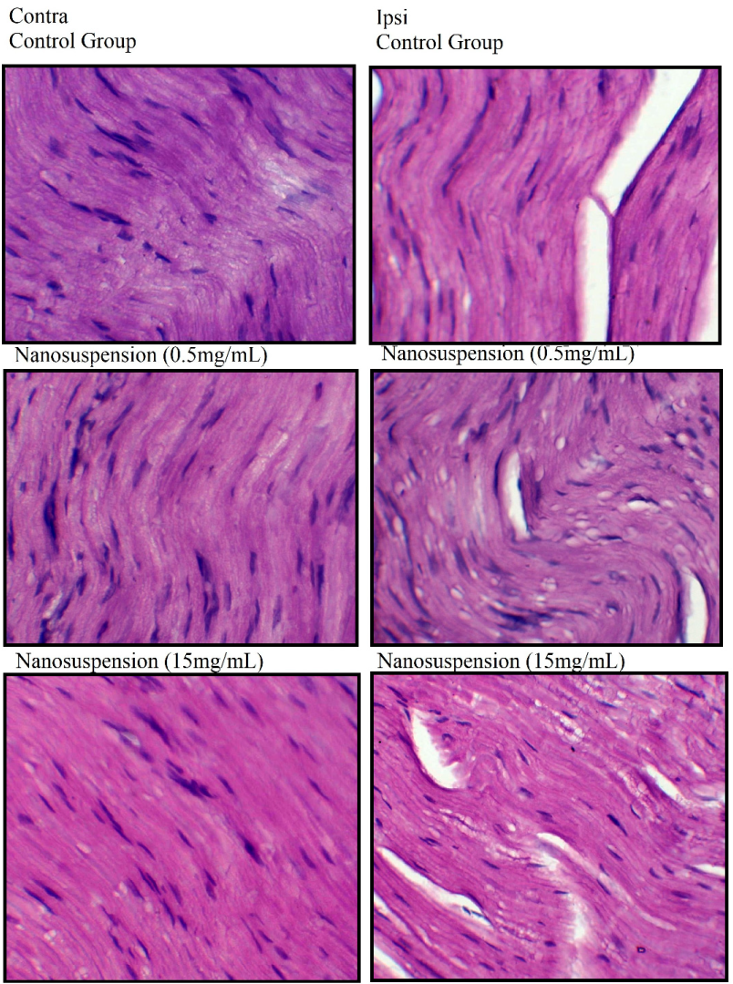 Metabolites 13 00391 g008 Metabolites 13 00391 g008