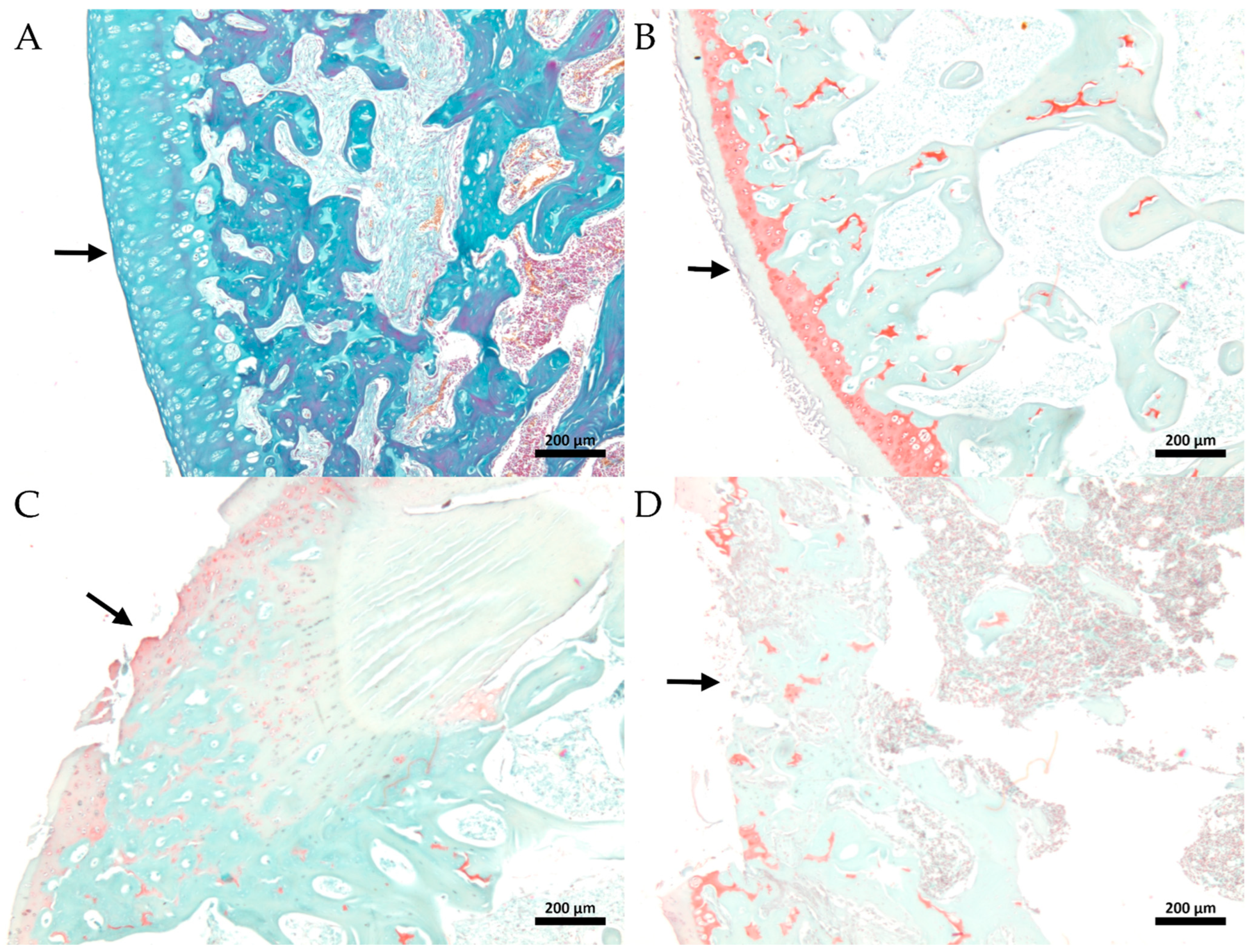 Metabolites 13 00397 g006 Metabolites 13 00397 g006
