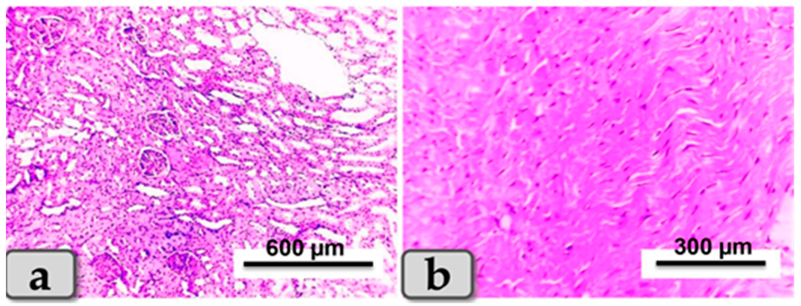 Metabolites 13 00400 g004