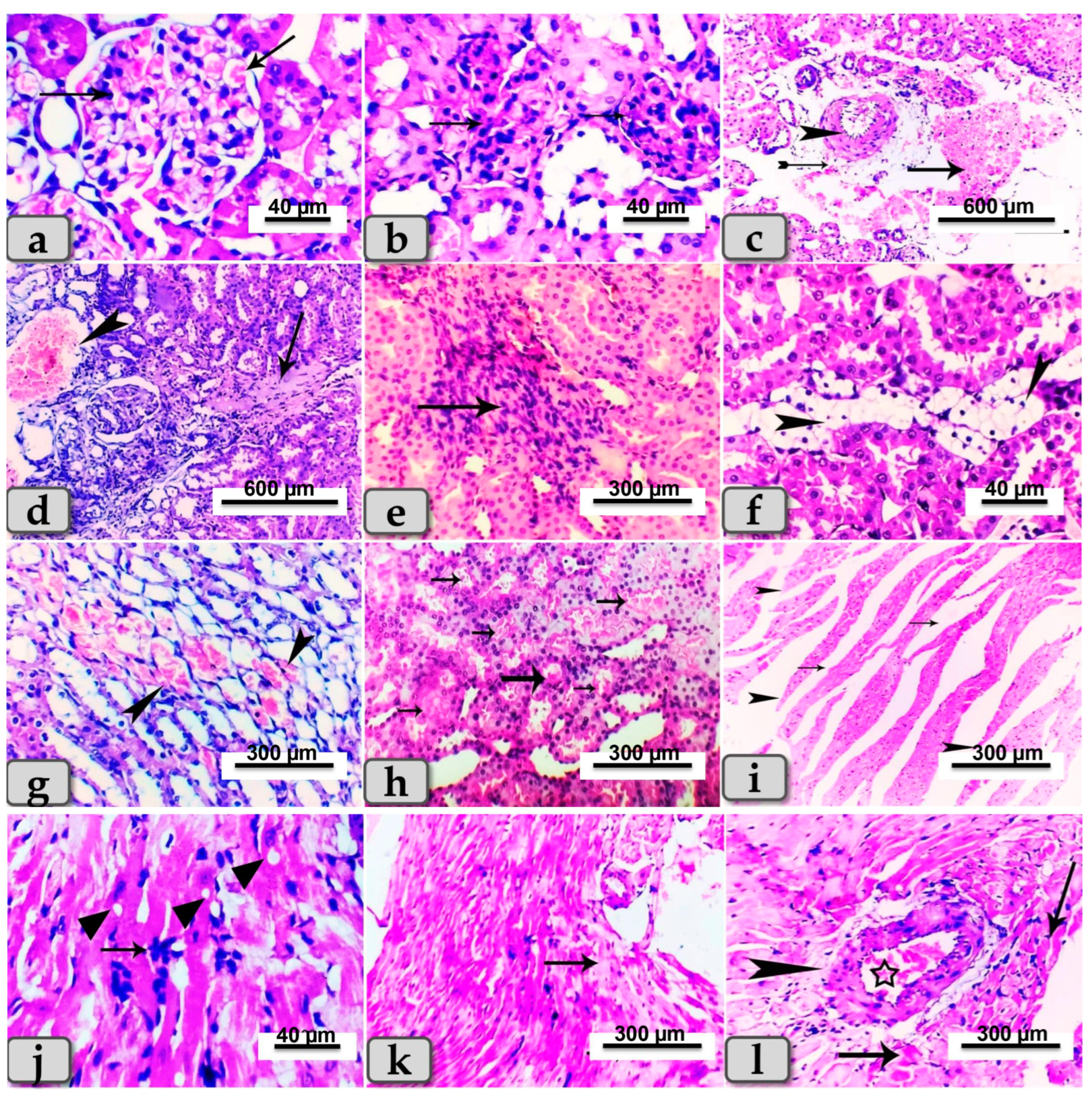 Metabolites 13 00400 g005