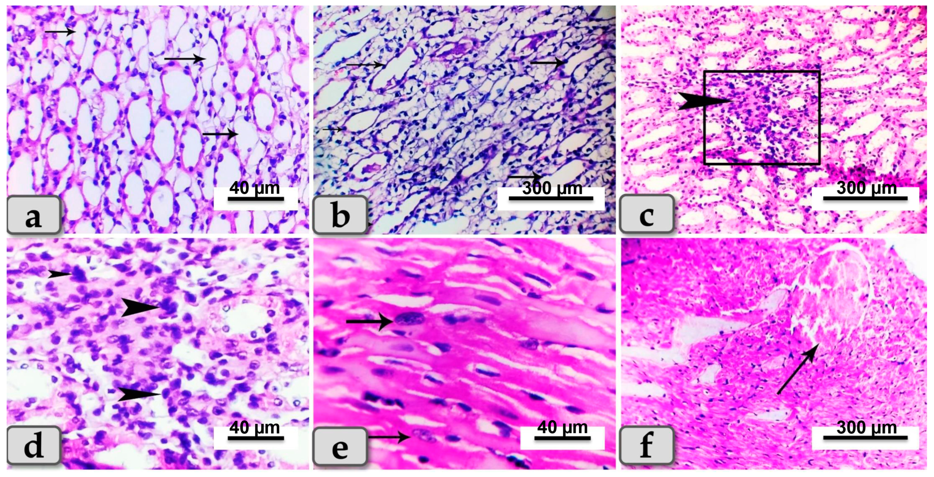 Metabolites 13 00400 g006