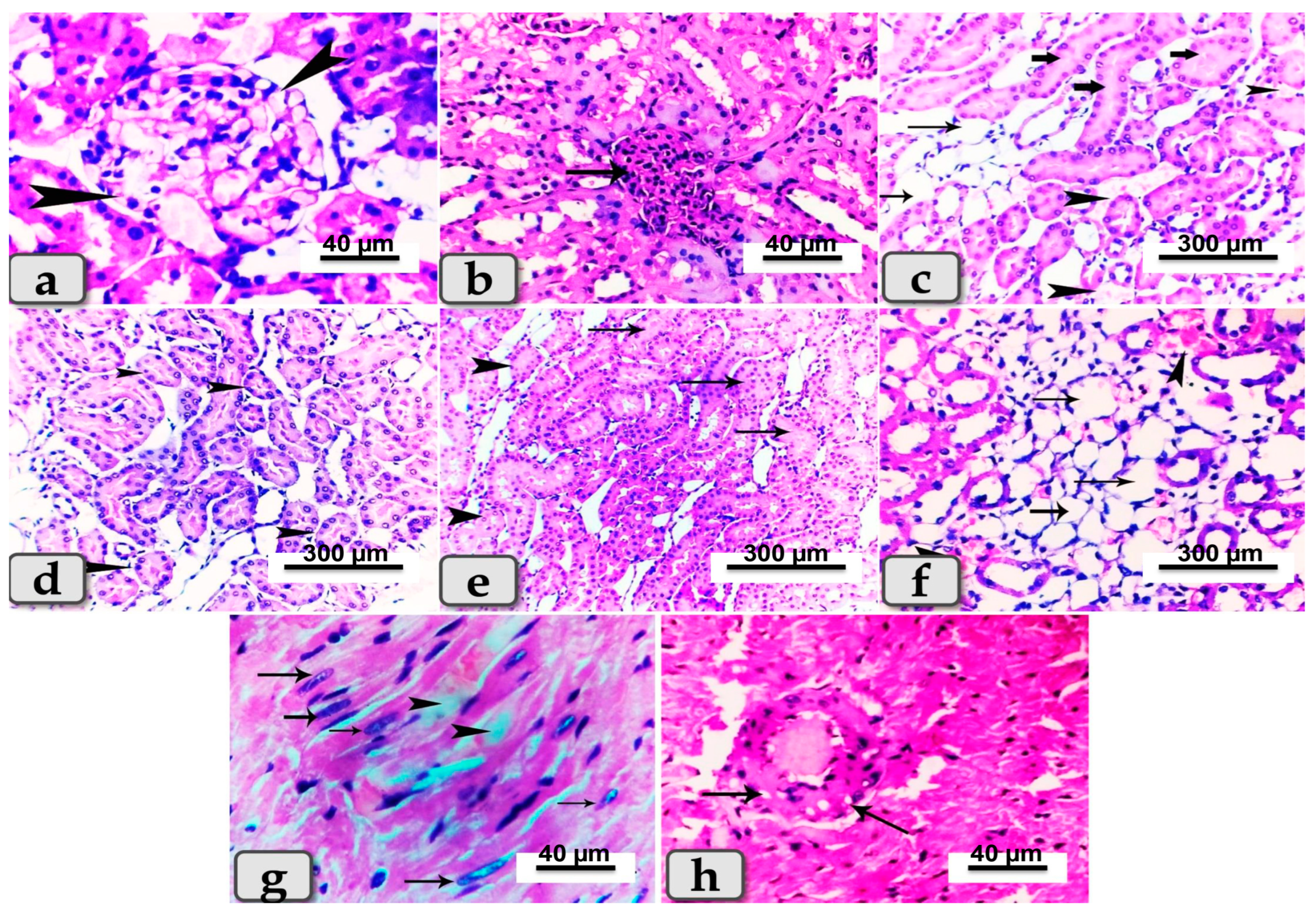 Metabolites 13 00400 g007