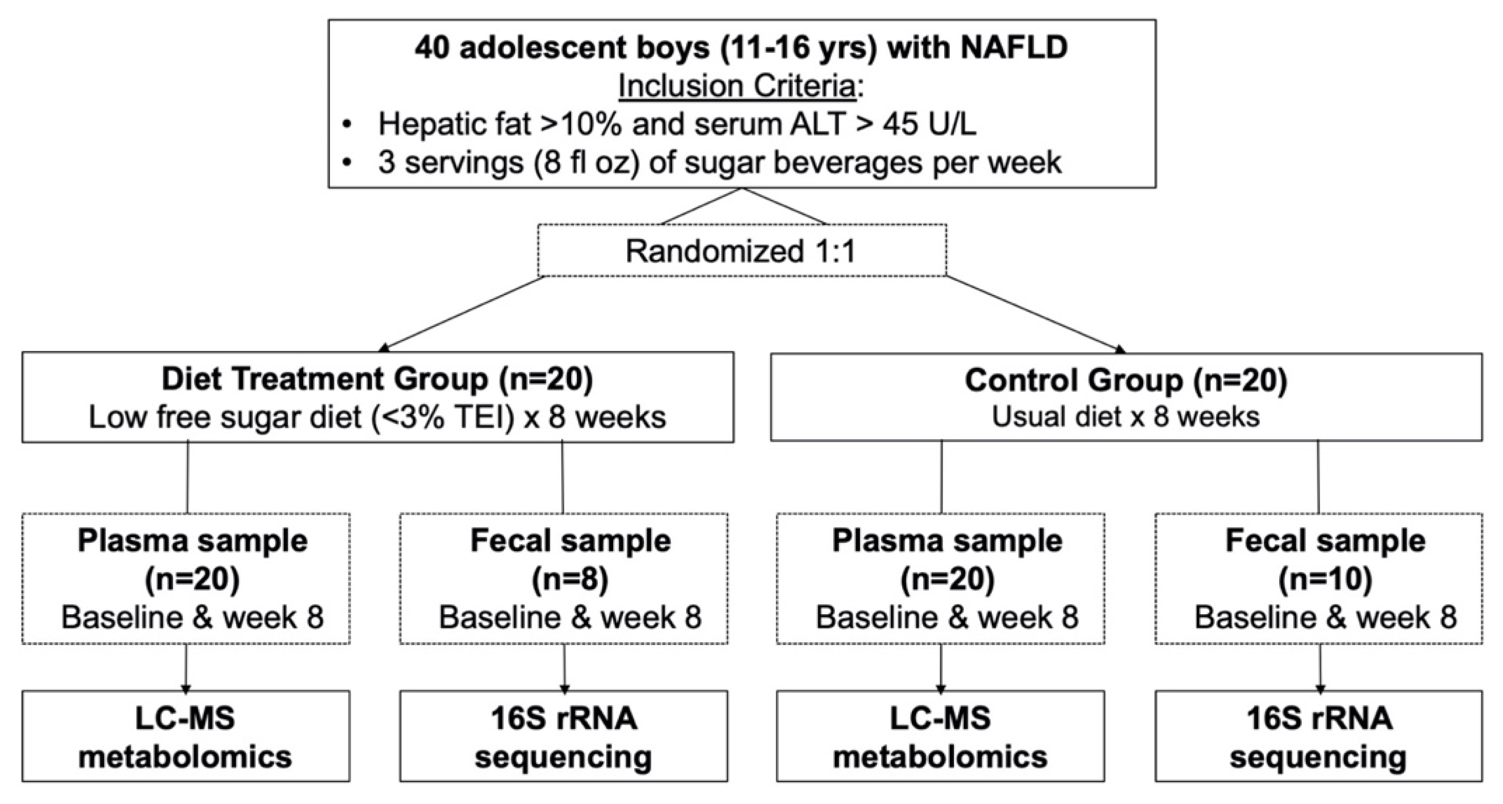 Metabolome × Microbiome Changes Associated with a Diet 
