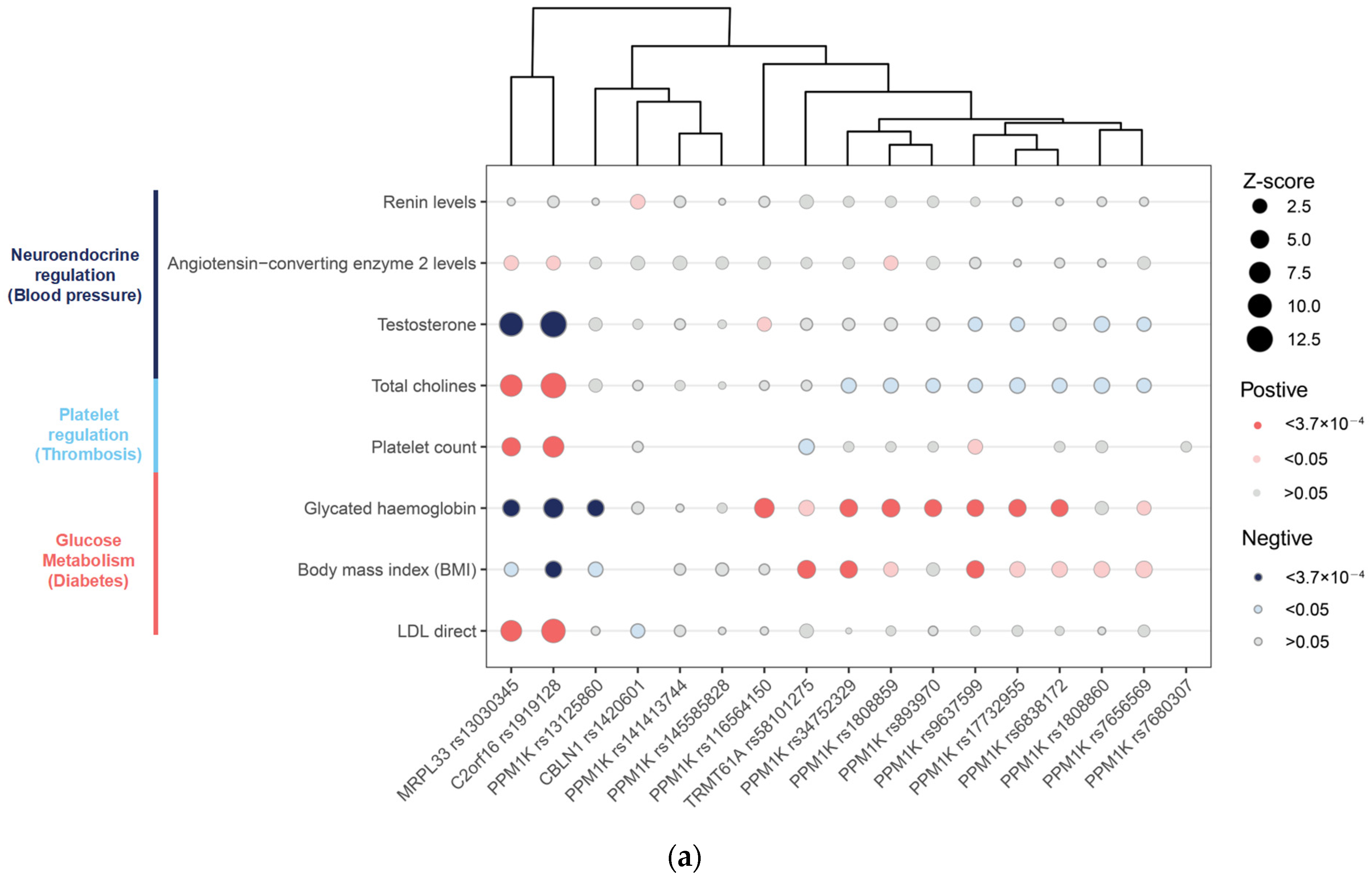 Metabolites 13 00403 g003a
