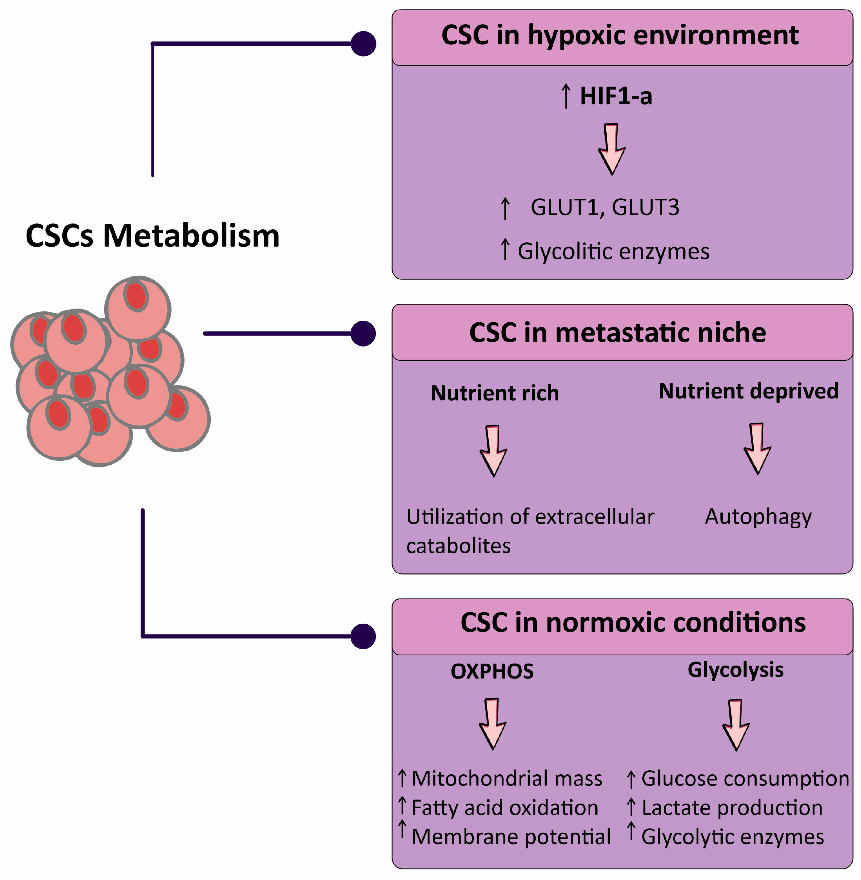 Metabolites 13 00404 g001 Metabolites 13 00404 g001