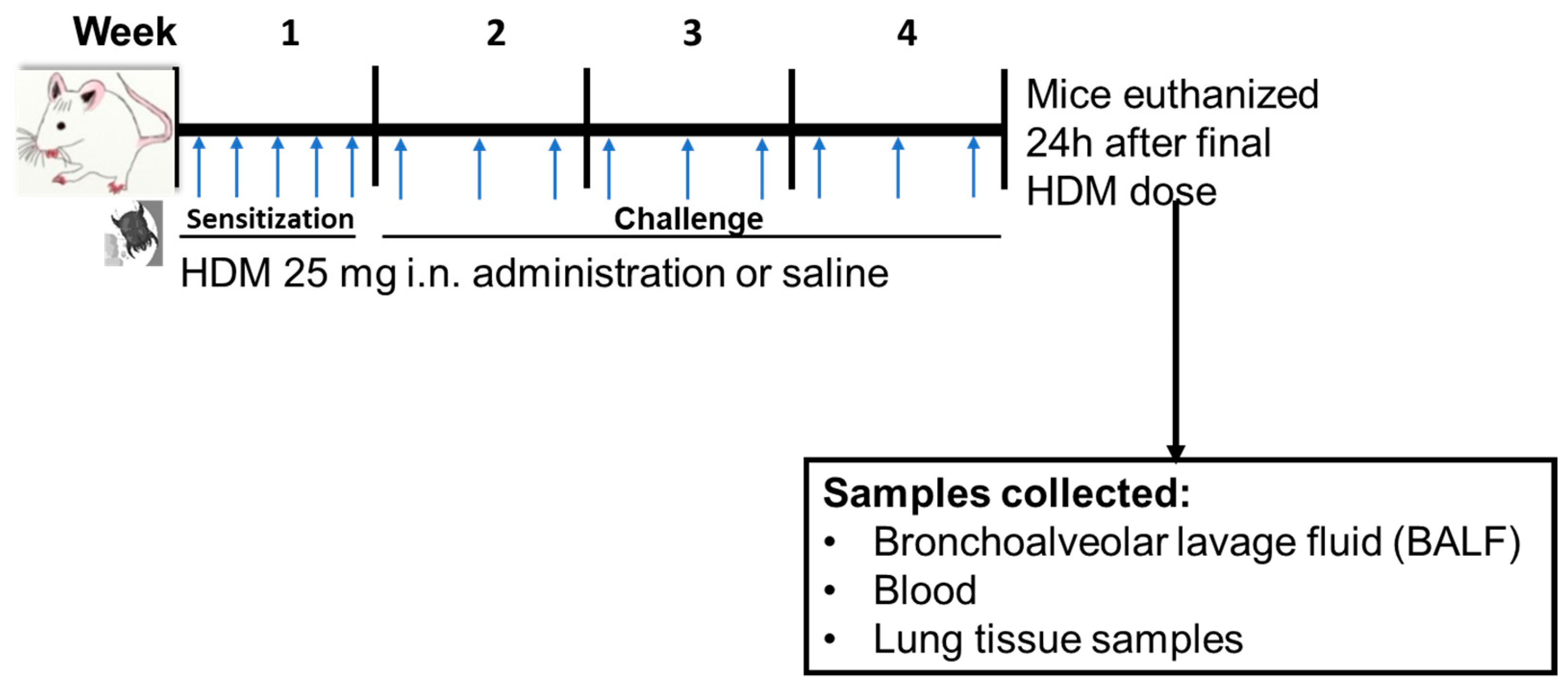 Metabolites 13 00406 g001