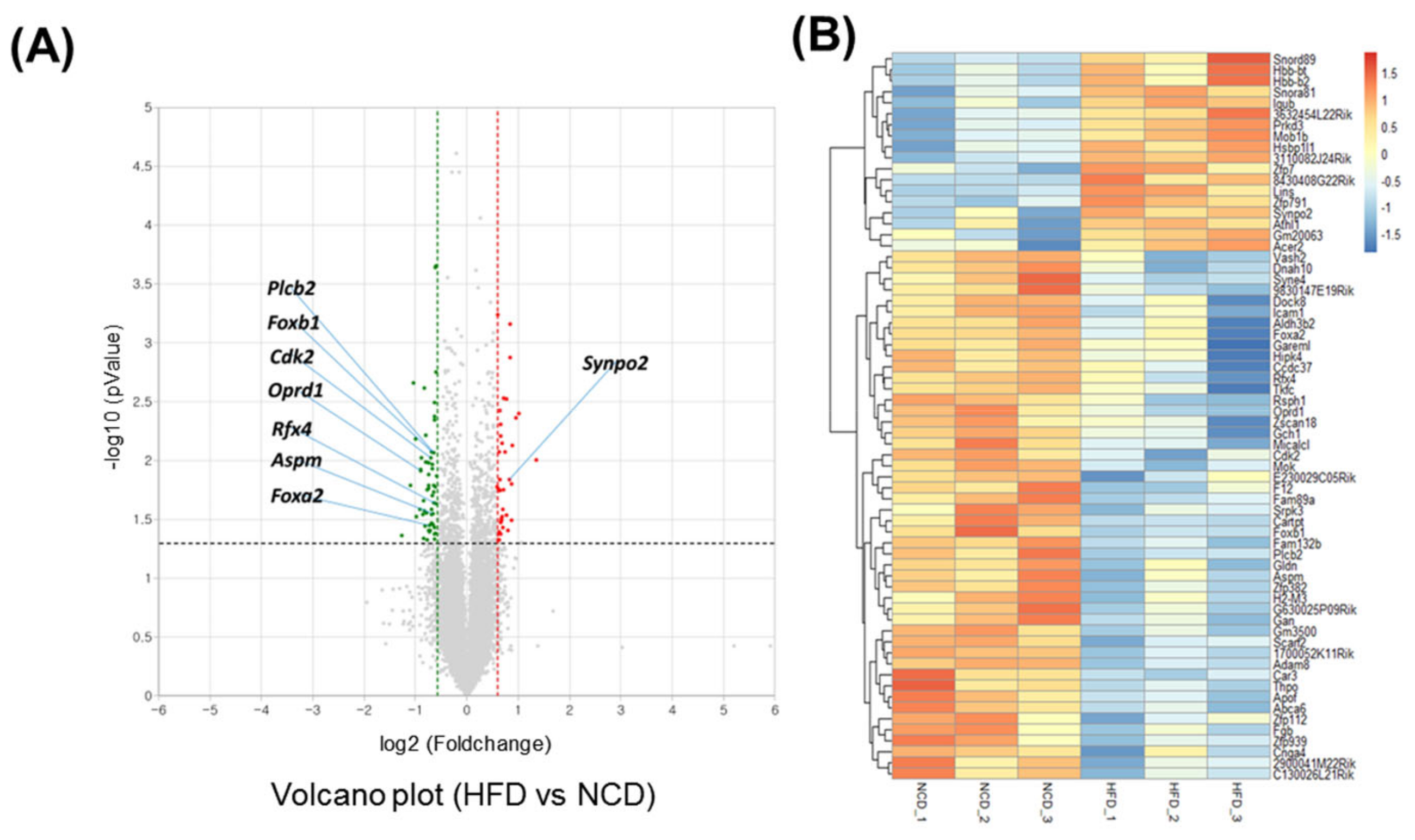Metabolites 13 00407 g001