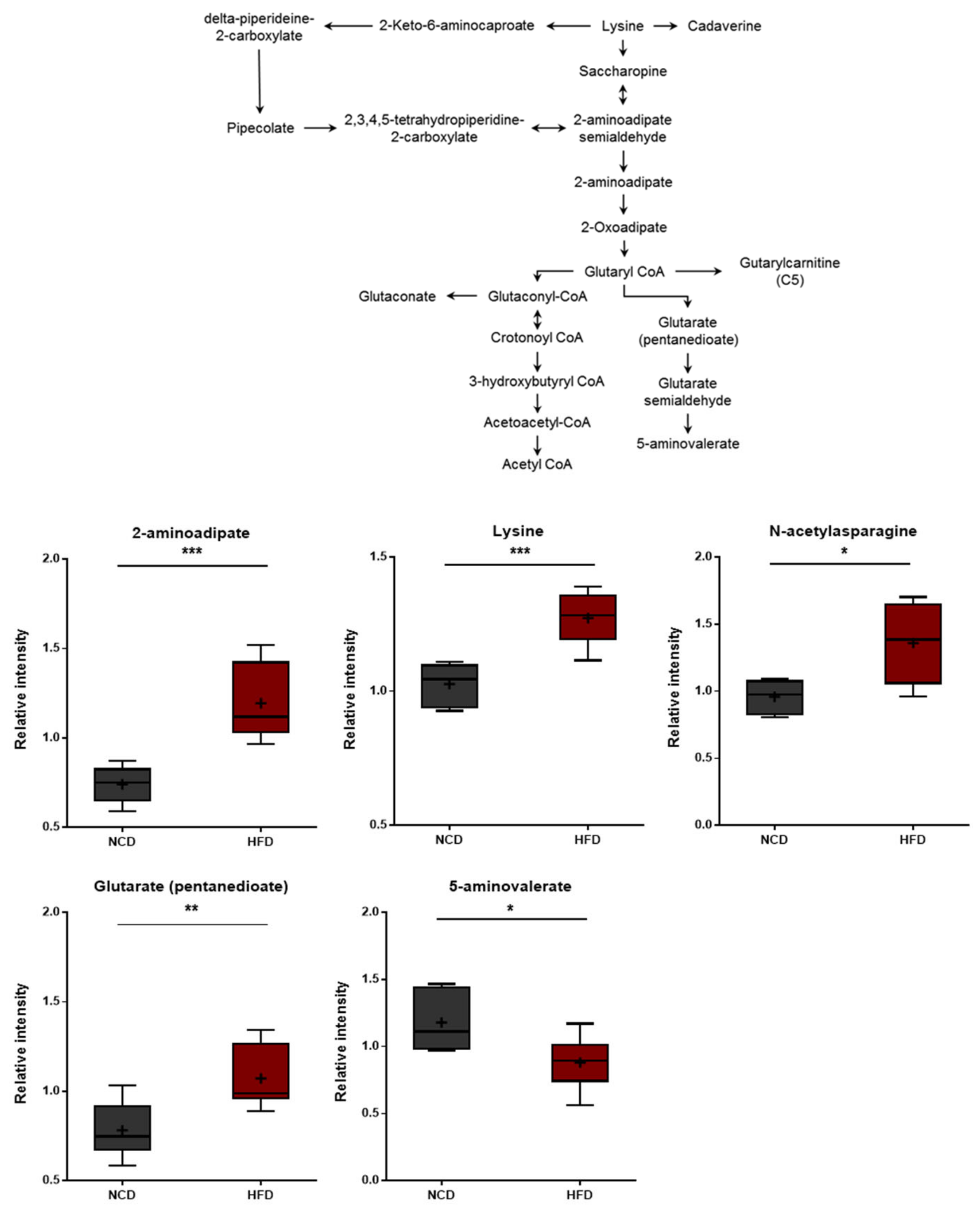 Metabolites 13 00407 g007