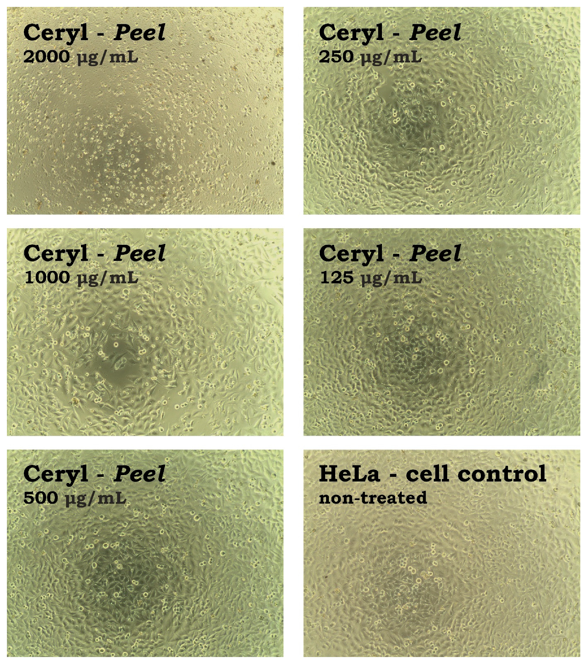 Metabolites 13 00408 g007 Metabolites 13 00408 g007