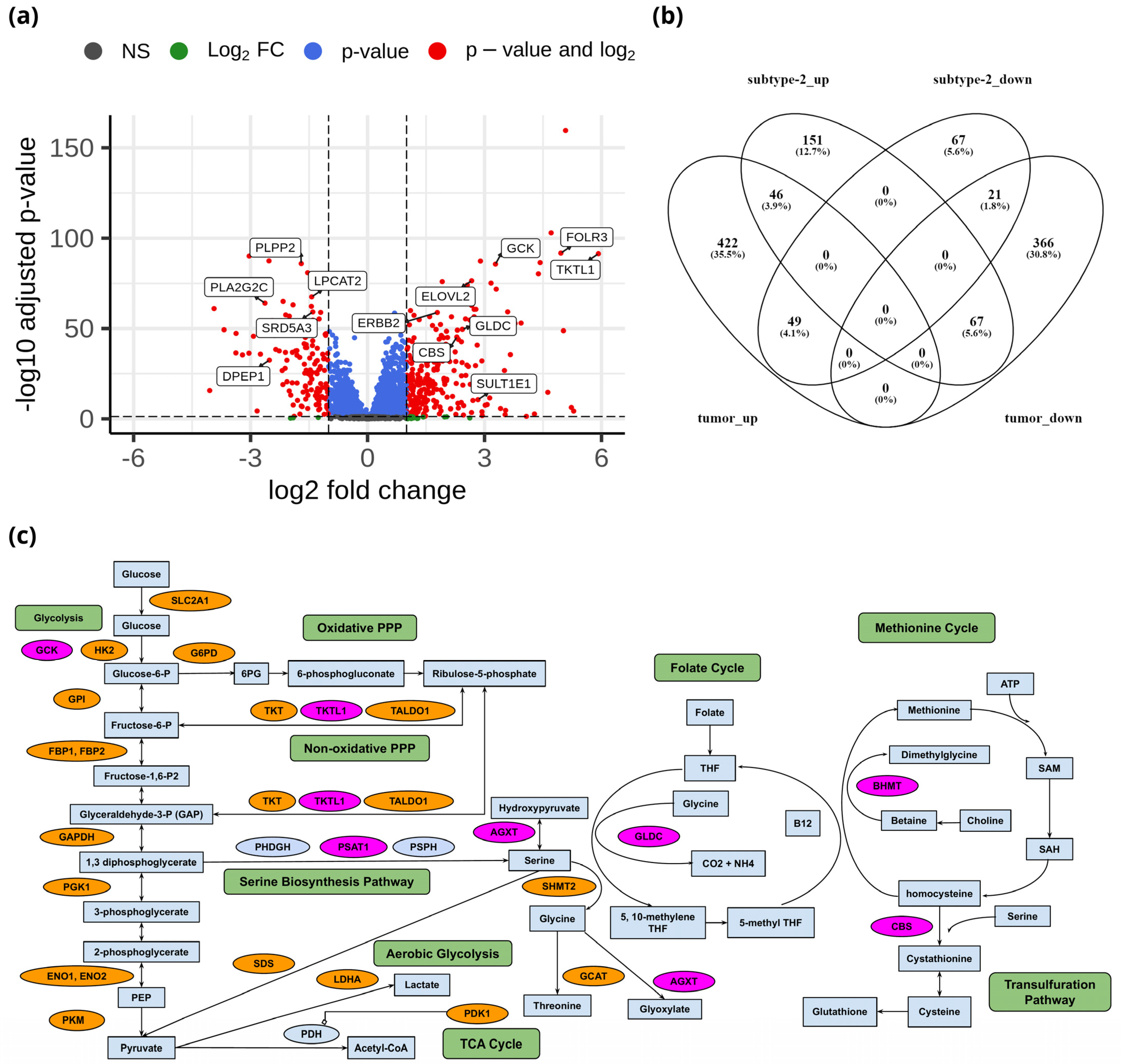 Metabolites 13 00409 g004 Metabolites 13 00409 g004