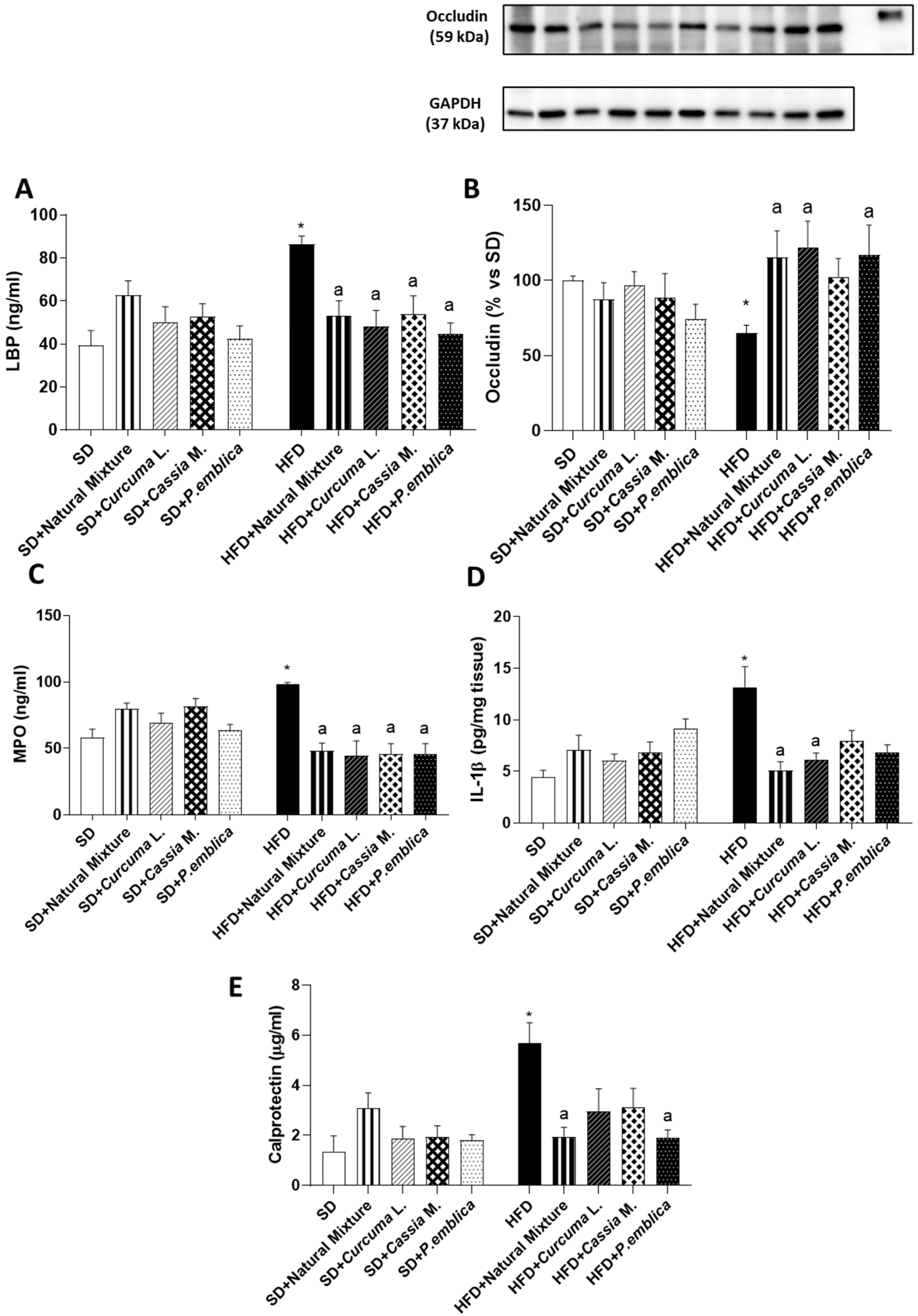 Metabolites 13 00410 g003