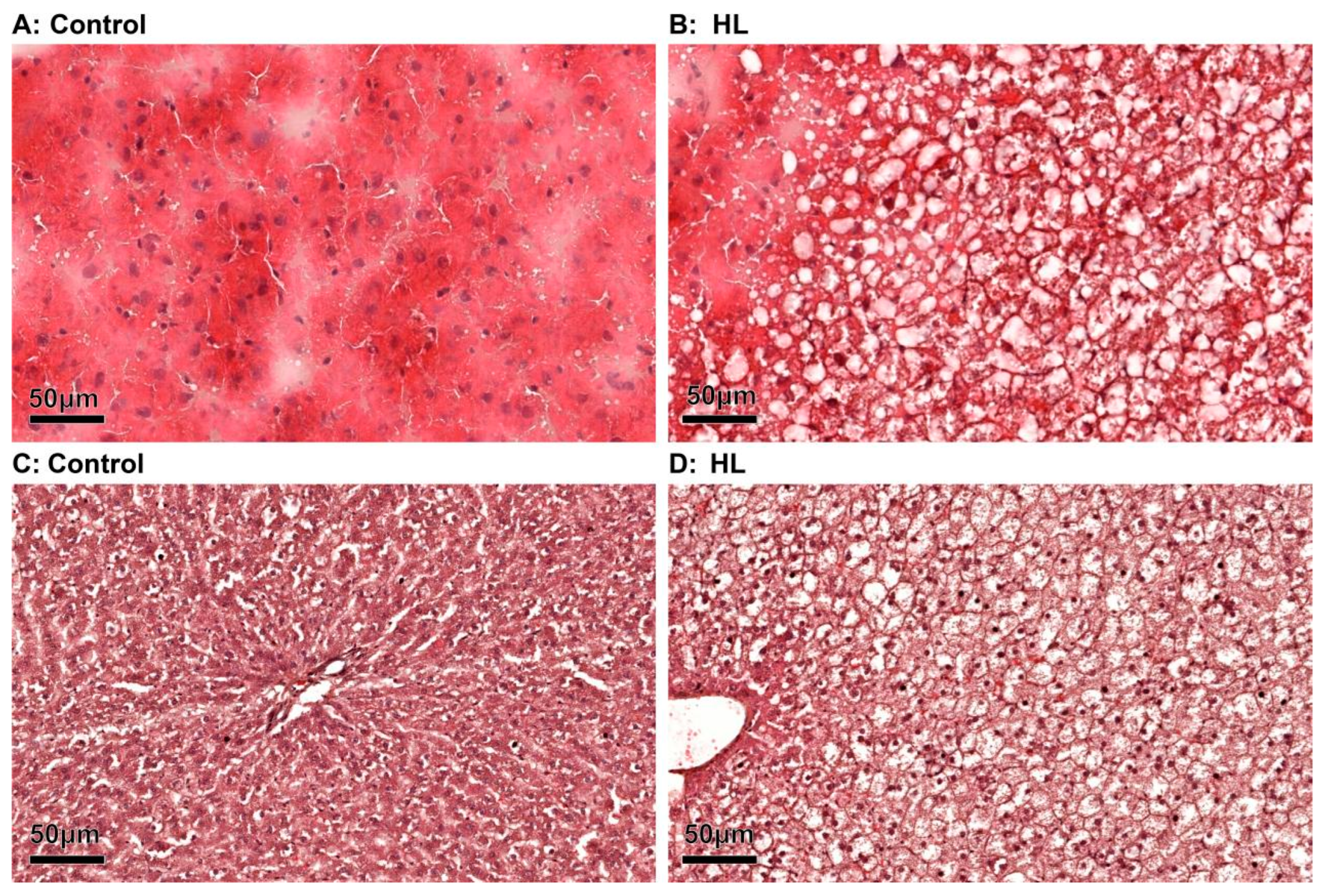 Metabolites 13 00411 g001 Metabolites 13 00411 g001