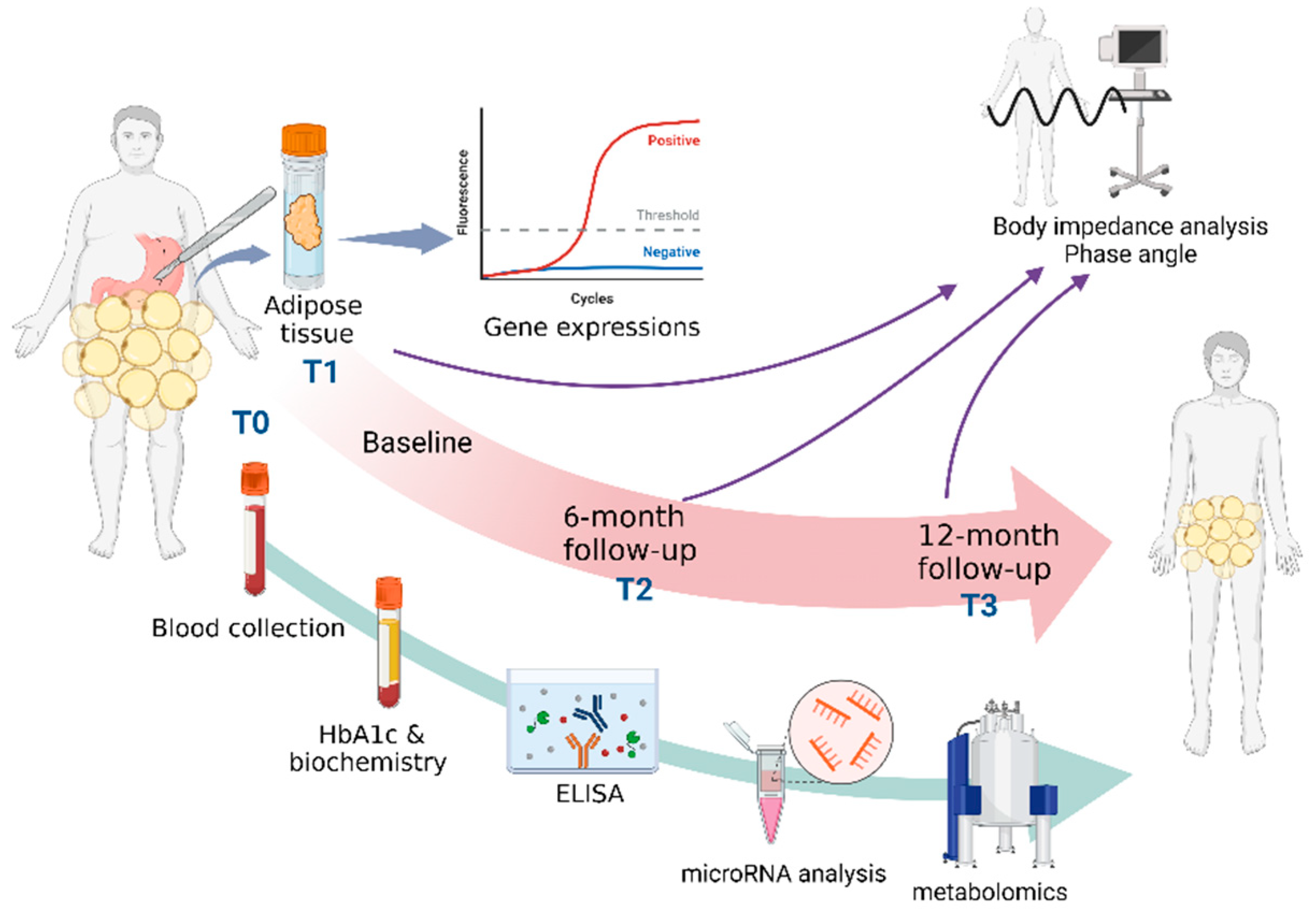 Metabolites 13 00413 g001