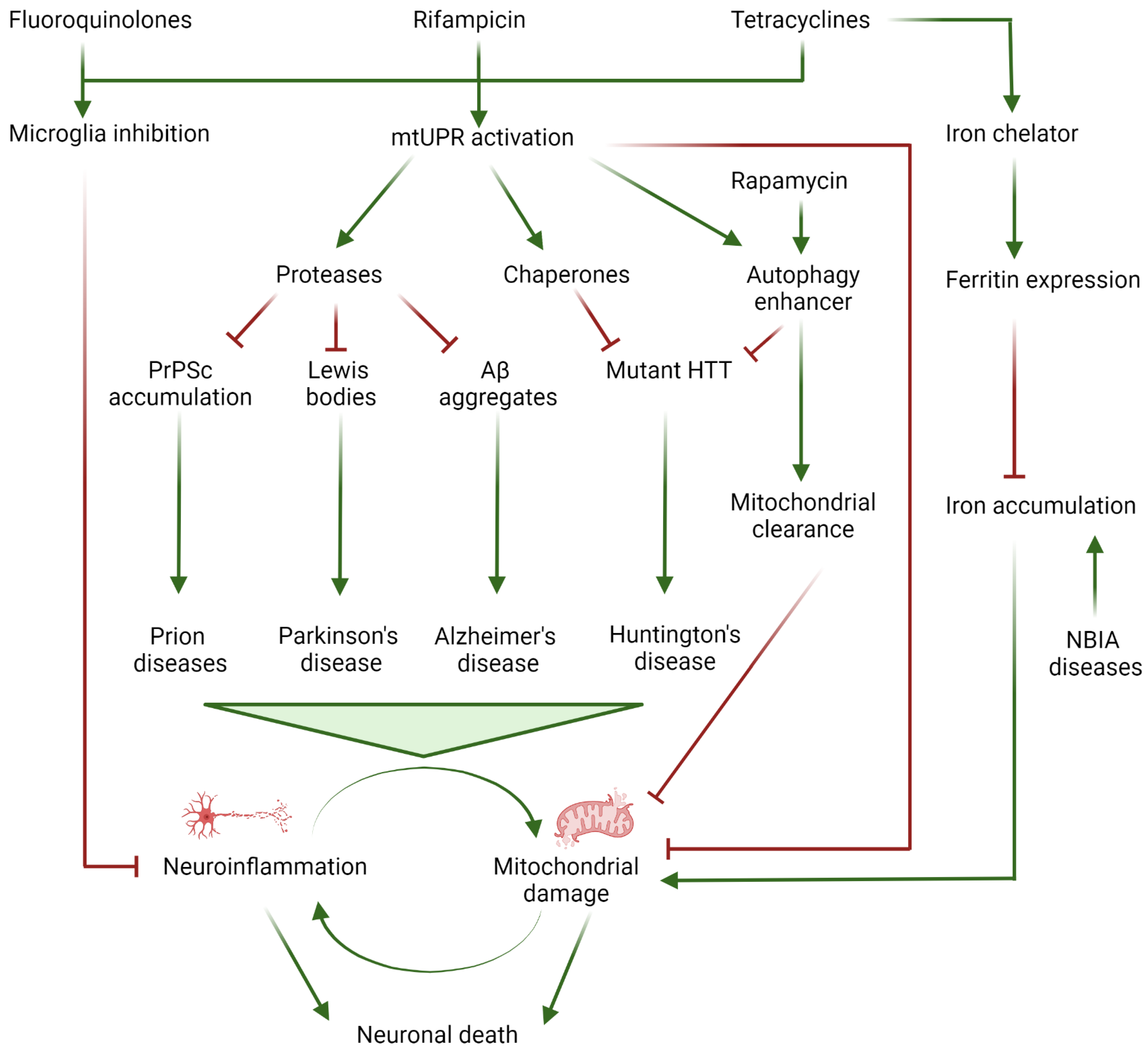 Metabolites 13 00416 g001