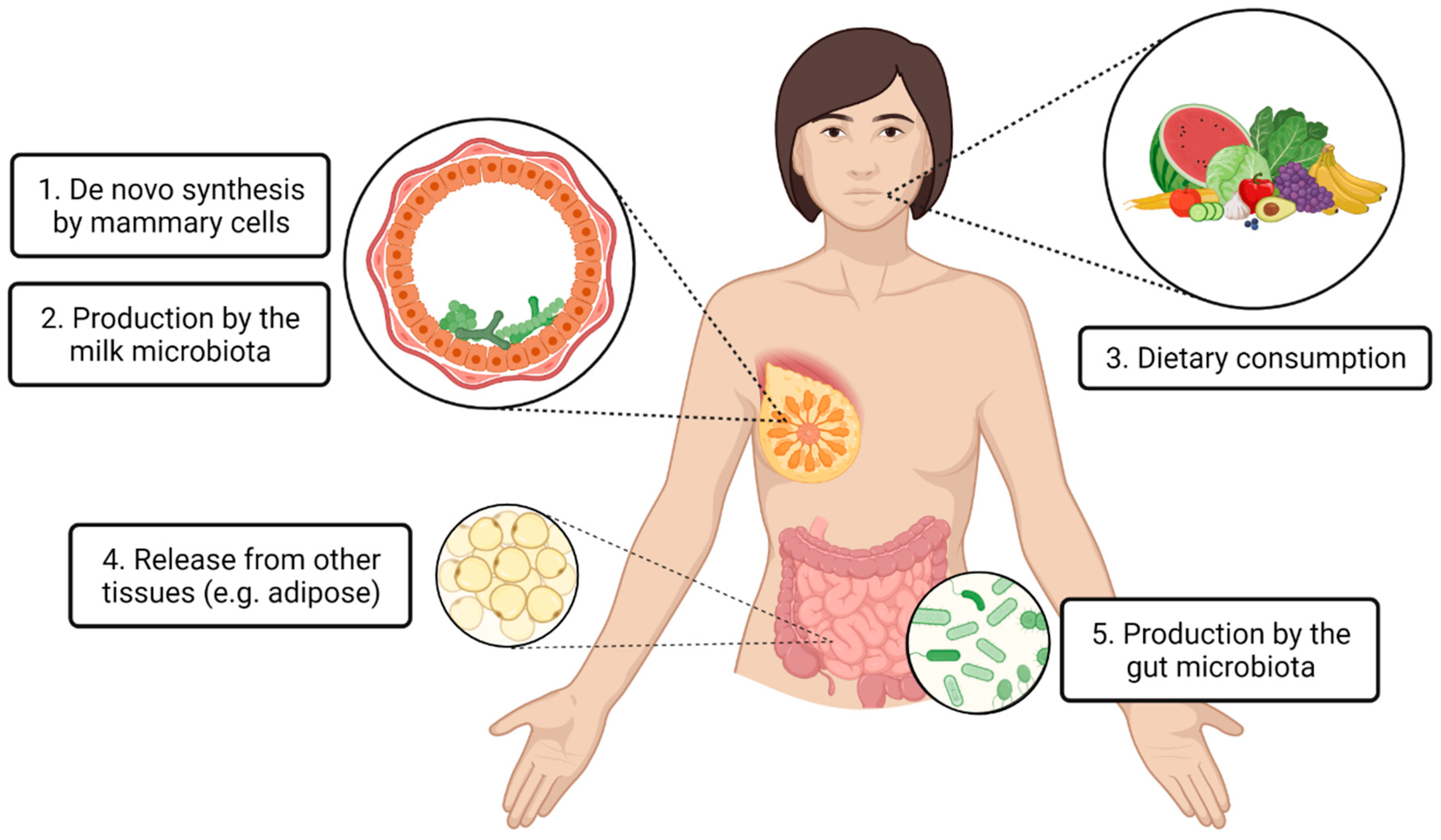 Metabolites 13 00422 g001 Metabolites 13 00422 g001