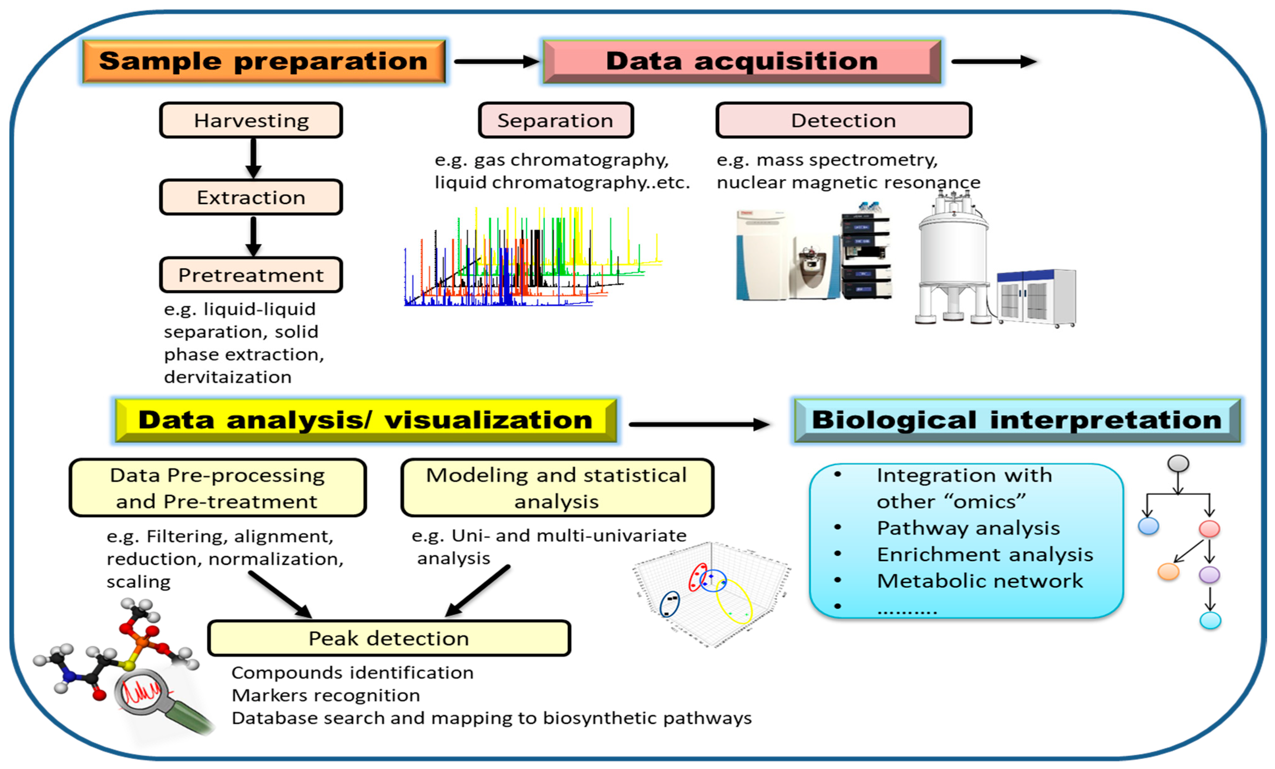Metabolites 13 00424 g004 Metabolites 13 00424 g004