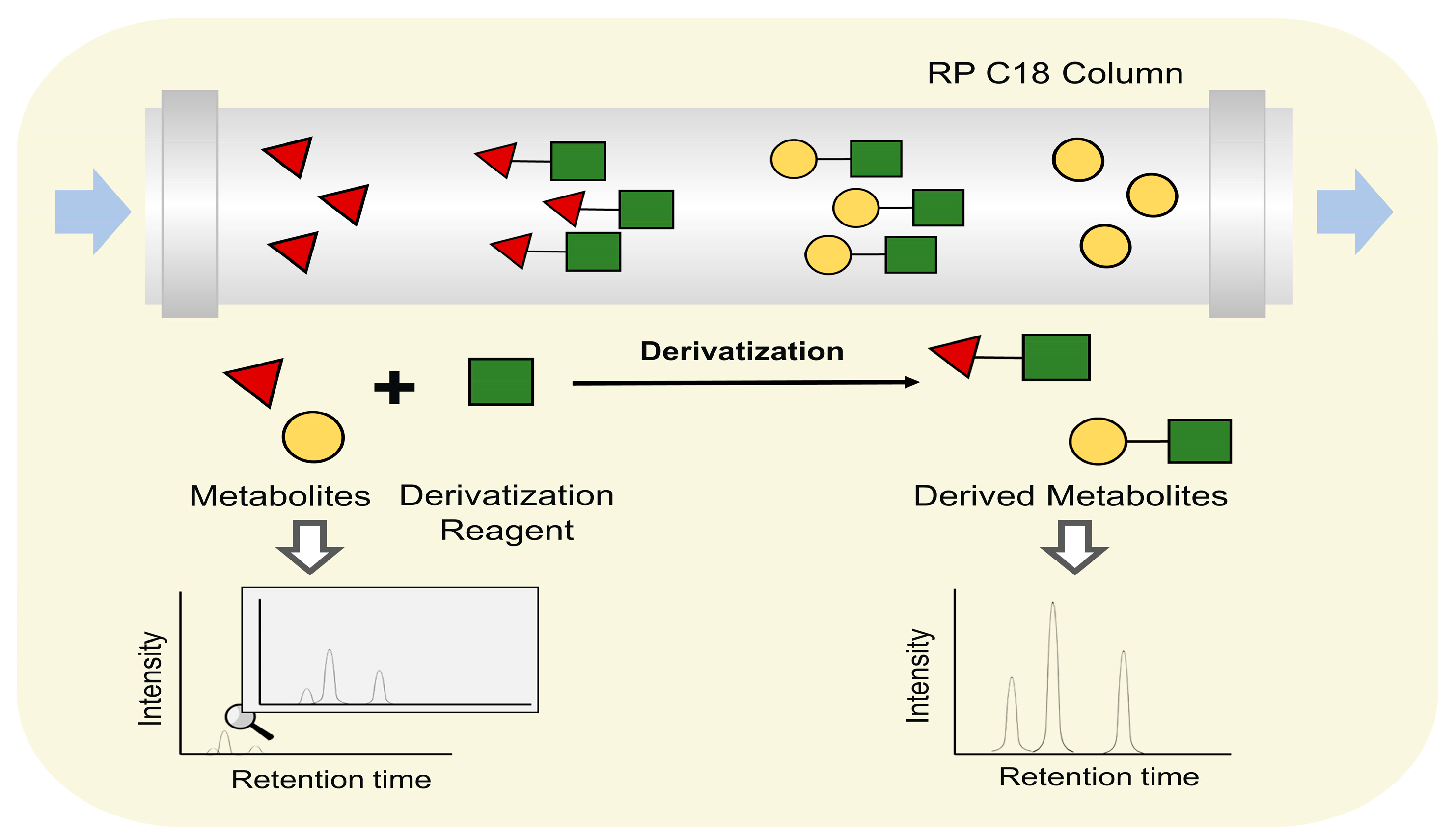 Metabolites 13 00424 g006 Metabolites 13 00424 g006