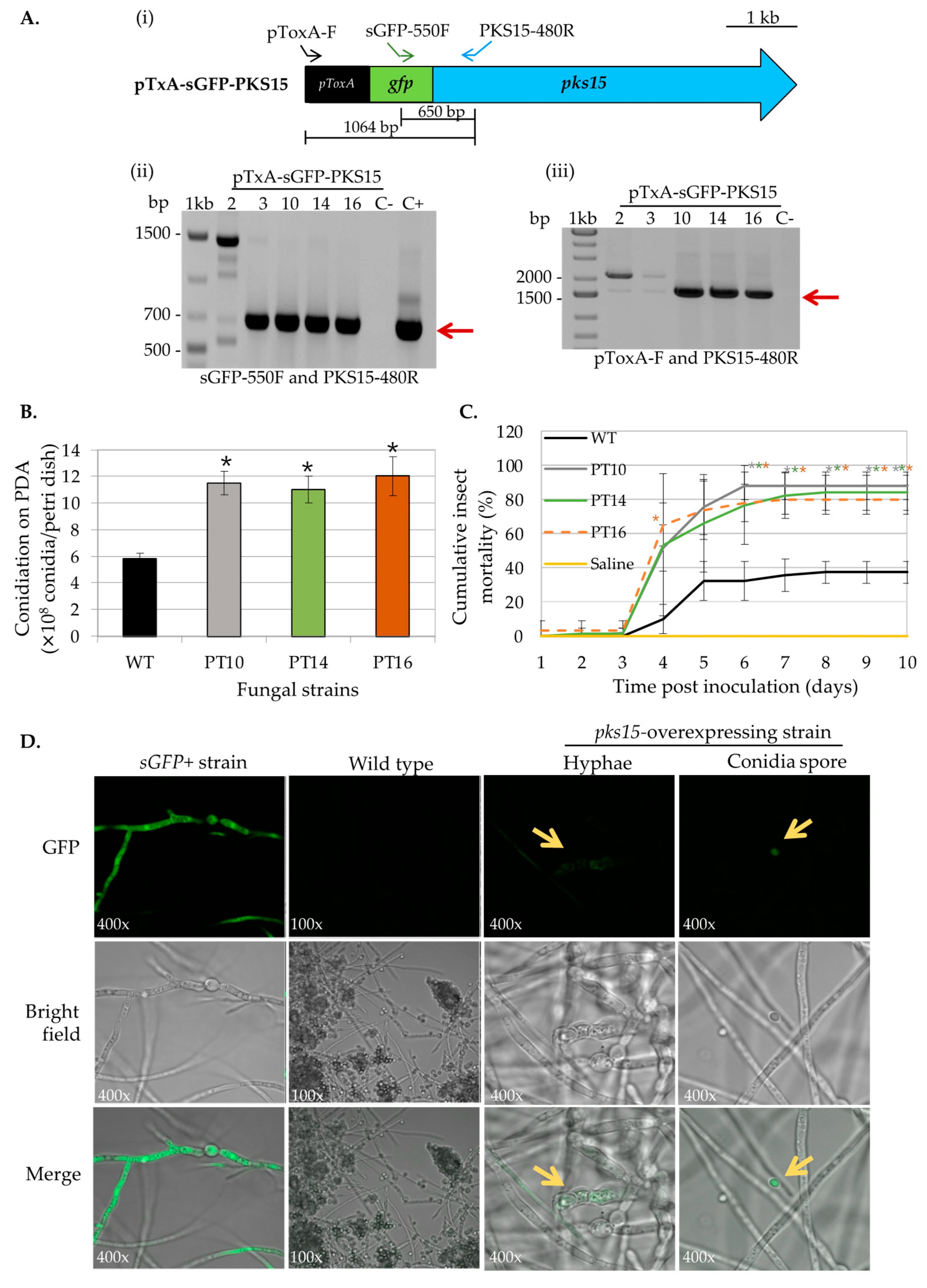 Metabolites 13 00425 g002 Metabolites 13 00425 g002
