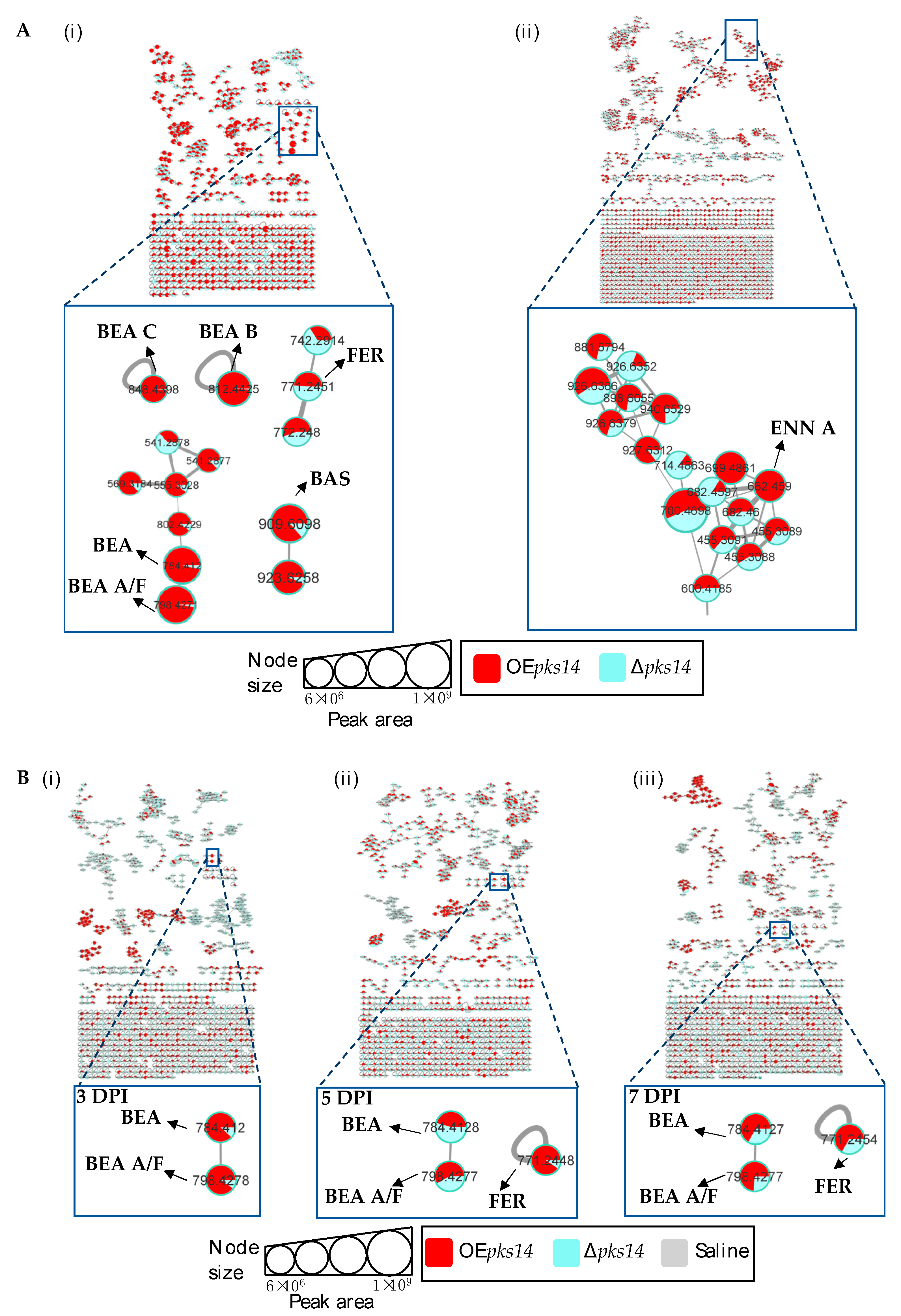 Metabolites 13 00425 g004 Metabolites 13 00425 g004