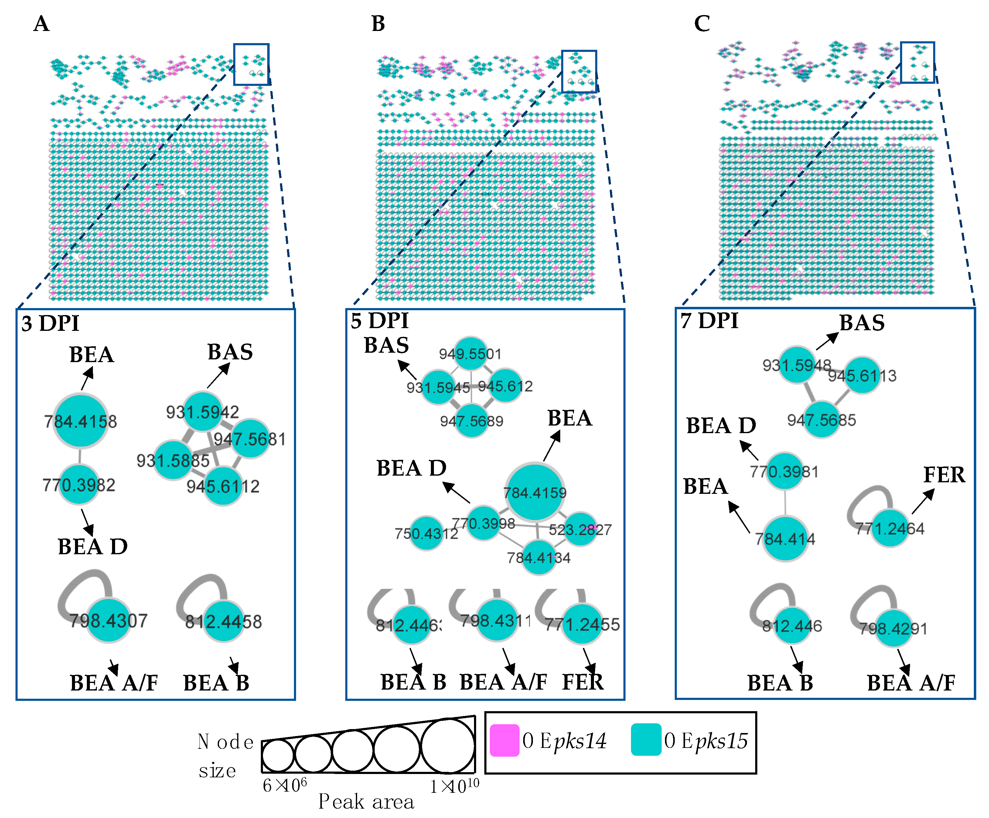 Metabolites 13 00425 g007 Metabolites 13 00425 g007