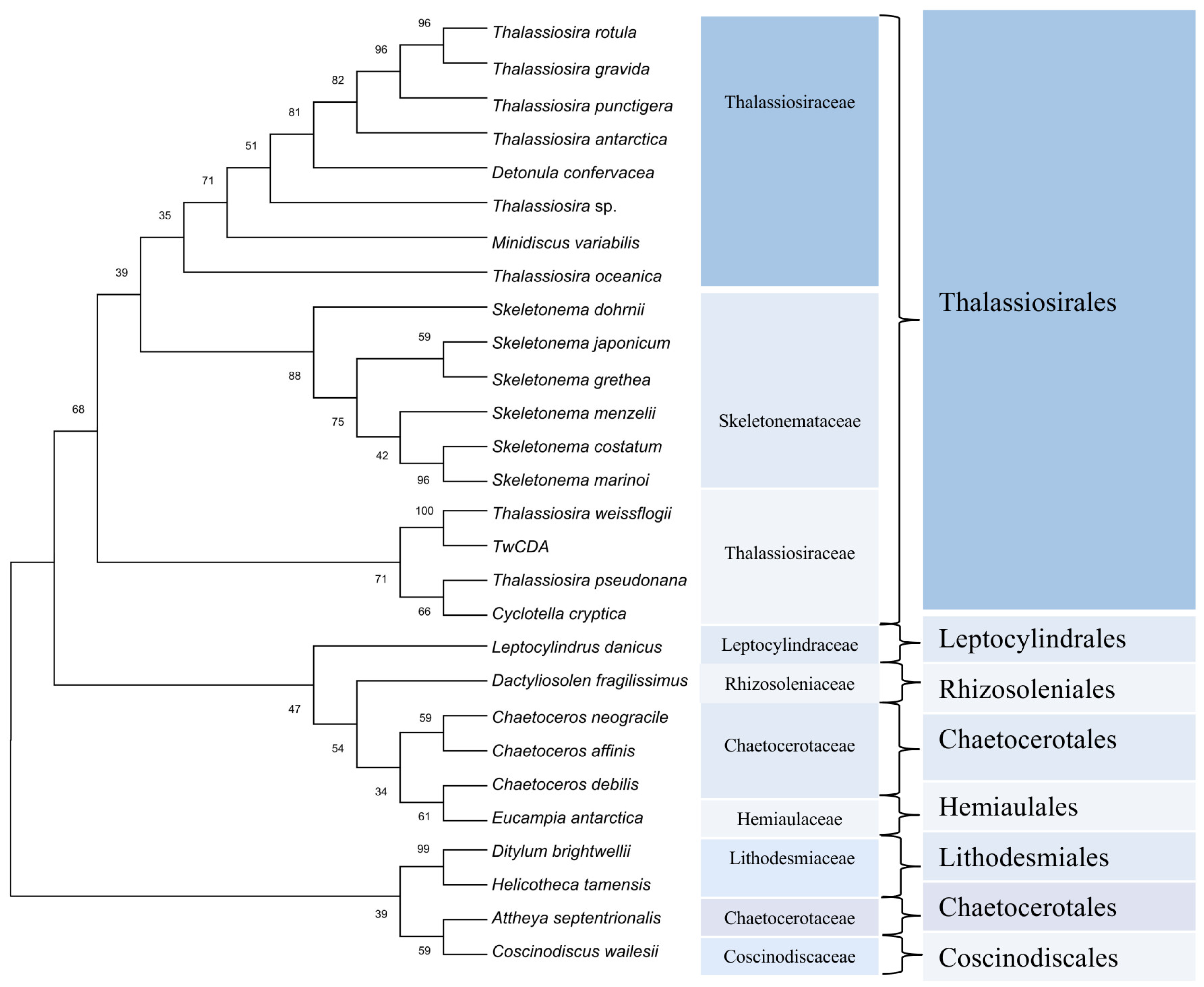 Metabolites 13 00429 g003 Metabolites 13 00429 g003
