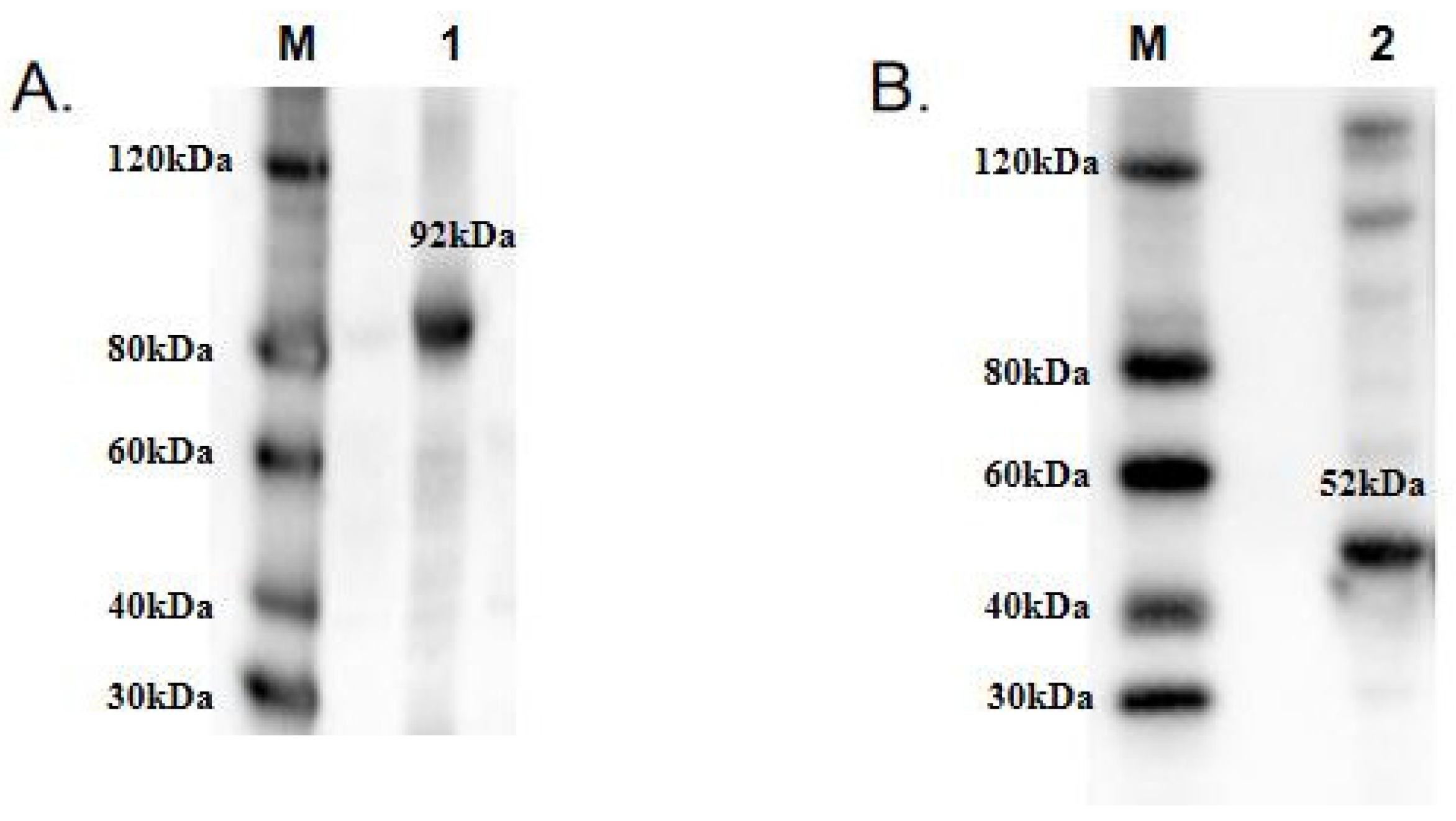 Metabolites 13 00429 g004 Metabolites 13 00429 g004